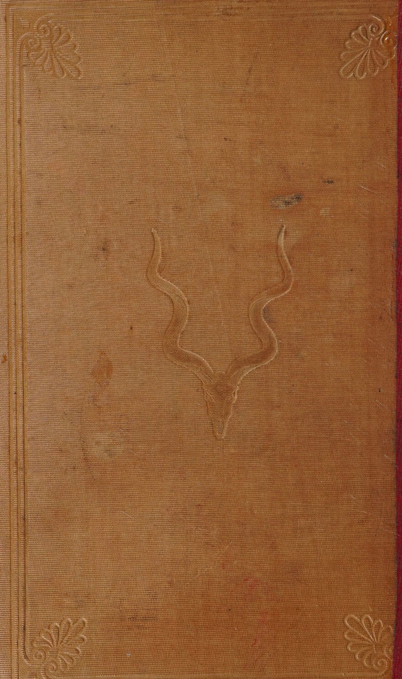 Tole Sete ree ay een rine Slee = Sg ean = SL oe De paig fata oe See ata cee at See emt eae acti a= ates er eherig pape Sikeonestee an aon