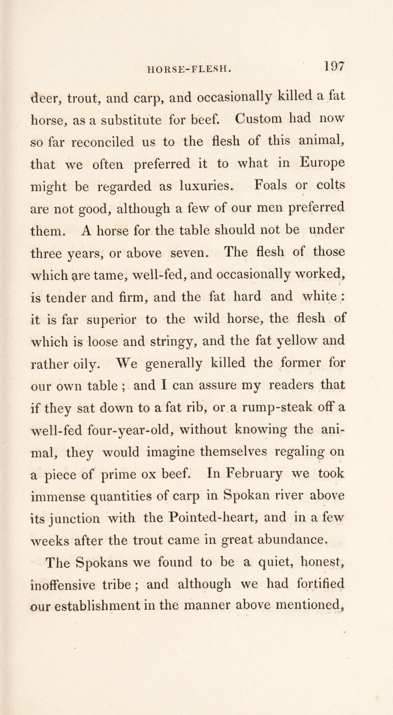 HORSE-FLESH. deer, trout, and carp, and occasionally killed a fat horse, as a substitute for beef. Custom had now so far reconciled us to the flesh of this animal, that we often preferred it to what in Europe might be regarded as luxuries. Foals or colts are not good, although a few of our men preferred them. A horse for the table should not be under three years, or above seven. The flesh of those which are tame, well-fed, and occasionally worked, is tender and firm, and the fat hard and white ; it is far superior to the wild horse, the flesh of which is loose and stringy, and the fat yellow and rather oily. We generally killed the former for our own table ; and I can assure my readers that if they sat down to a fat rib, or a rump-steak off a well-fed four-year-old, without knowing the ani- mal, they would imagine themselves regaling on a piece of prime ox beef. In February we took immense quantities of carp in Spokan river above its junction with the Pointed-heart, and in a few weeks after the trout came in great abundance. The Spokans we found to be a quiet, honest, inoffensive tribe ; and although we had fortified our establishment in the manner above mentioned^