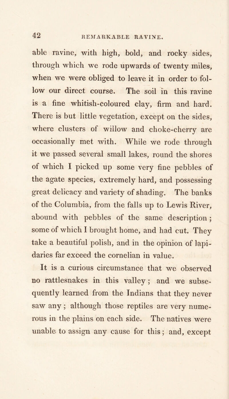 REMARKABLE RAVINE. able ravine, with high, bold, and rocky sides, through which we rode upwards of twenty miles, when we were obliged to leave it in order to fol- low our direct course. The soil m this ravine is a fine whitish-coloured clay, firm and hard. There is but little vegetation, except on the sides, where clusters of willow and choke-cherry are occasionally met with. While we rode through it we passed several small lakes, round the shores of which I picked up some very fine pebbles of the agate species, extremely hard, and possessing great delicacy and variety of shading. The banks of the Columbia, from the falls up to Lewis River, abound with pebbles of the same description ; some of which I brought home, and had cut. They take a beautiful polish, and in the opinion of lapi- daries far exceed the cornelian in value. It is a curious circumstance that we observed no rattlesnakes in this valley; and we subse- quently learned from the Indians that they never saw any; although those reptiles are very nume- rous in the plains on each side. The natives were unable to assign any cause for this; and, except