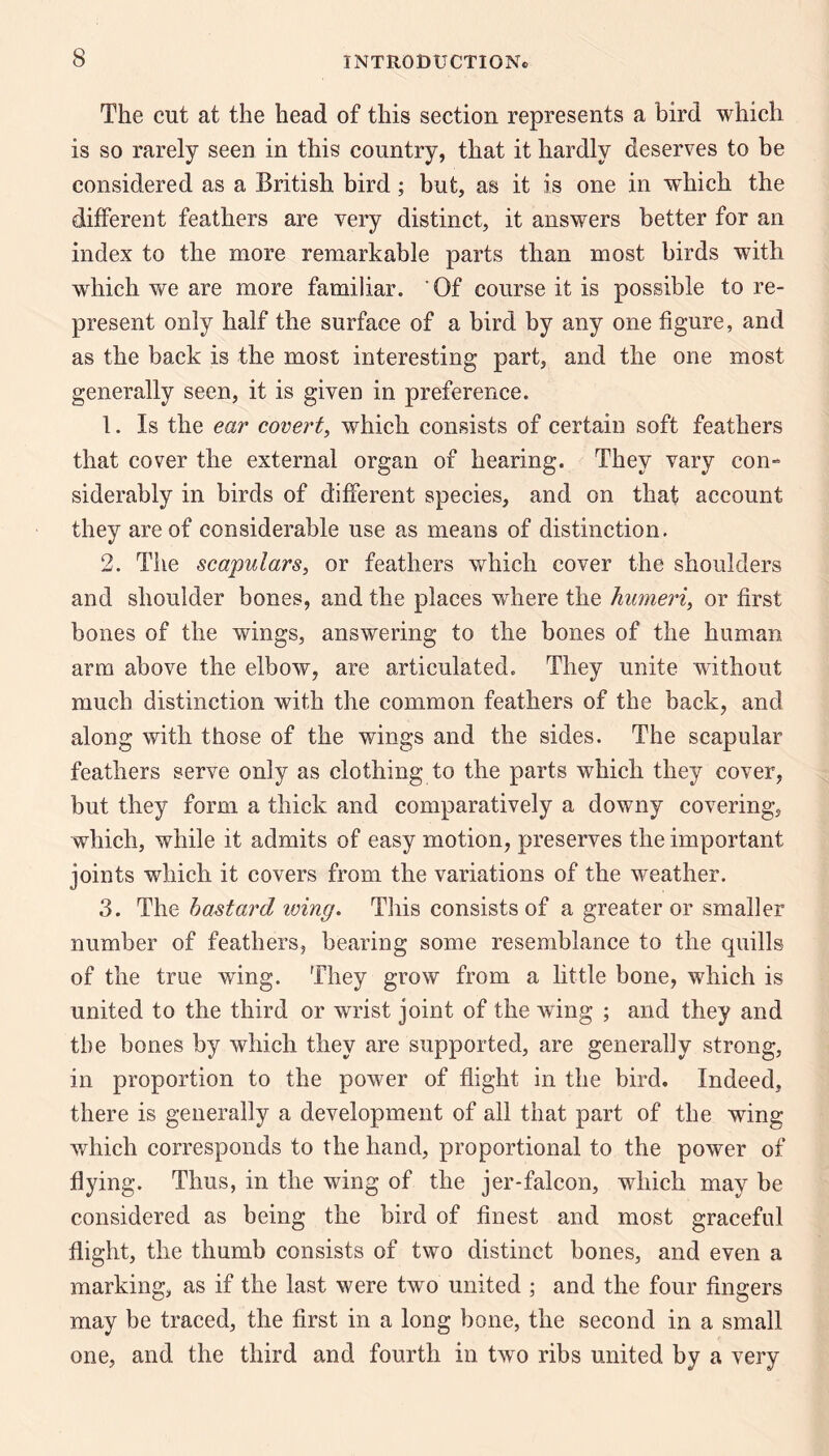 The cut at the head of this section represents a bird which is so rarely seen in this country, that it hardly deserves to be considered as a British bird; but, as it is one in which the different feathers are very distinct, it answers better for an index to the more remarkable parts than most birds with which we are more familiar. Of course it is possible to re¬ present only half the surface of a bird by any one figure, and as the back is the most interesting part, and the one most generally seen, it is given in preference. 1. Is the ear covert, which consists of certain soft feathers that cover the external organ of hearing. They vary con¬ siderably in birds of different species, and on that account they are of considerable use as means of distinction. 2. Tile scapulars, or feathers which cover the shoulders and shoulder bones, and the places where the humeri, or first bones of the wings, answering to the bones of the human arm above the elbow, are articulated. They unite without much distinction with the common feathers of the back, and along with those of the wings and the sides. The scapular feathers serve only as clothing to the parts which they cover, but they form a thick and comparatively a downy covering, which, while it admits of easy motion, preserves the important joints which it covers from the variations of the weather. 3. The bastard iving. This consists of a greater or smaller number of feathers, bearing some resemblance to the quills of the true wing. They grow from a little bone, which is united to the third or wrist joint of the wing ; and they and the bones by which they are supported, are generally strong, in proportion to the power of flight in the bird. Indeed, there is generally a development of all that part of the wing which corresponds to the hand, proportional to the power of flying. Thus, in the wing of the jer-falcon, which may be considered as being the bird of finest and most graceful flight, the thumb consists of two distinct bones, and even a marking, as if the last were two united ; and the four fingers may be traced, the first in a long bone, the second in a small one, and the third and fourth in two ribs united by a very