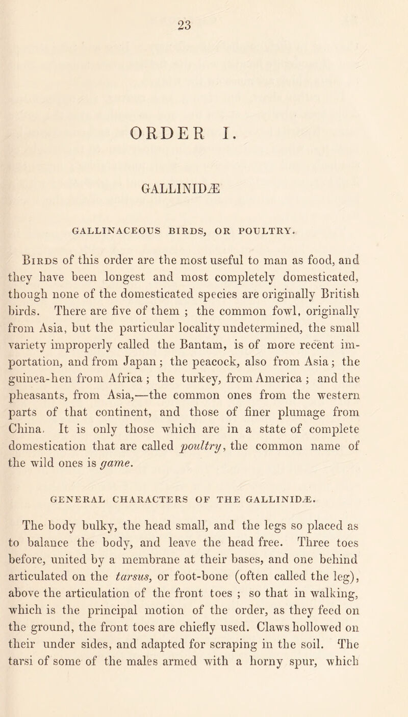 ORDER I. GALLINIDiE GALLINACEOUS BIRDS, OR POULTRY. Birds of this order are the most useful to man as food, and they have been longest and most completely domestieated, though none of the domestieated species are originally British birds. There are five of them ; the common fowl, originally from Asia, but the partieular locality undetermined, the small variety improperly called the Bantam, is of more recent im¬ portation, and from Japan; the peacock, also from Asia; the guinea-hen from Africa ; the turkey, from America ; and the pheasants, from Asia,—the common ones from the western parts of that continent, and those of finer plumage from China. It is only those which are in a state of complete domestieation that are called poultry, the common name of the wild ones is game. GENERAL CHARACTERS OF THE GALLINIDiE. The body bulky, the head small, and the legs so placed as to balanee the body, and leave the head free. Three toes before, united by a membrane at their bases, and one behind articulated on the tarsus, or foot-bone (often called the leg), above the articulation of the front toes ; so that in walking, which is the principal motion of the order, as they feed on the ground, the front toes are chiefly used. Claws hollowed on their under sides, and adapted for scraping in the soil. The tarsi of some of the males armed with a horny spur, which