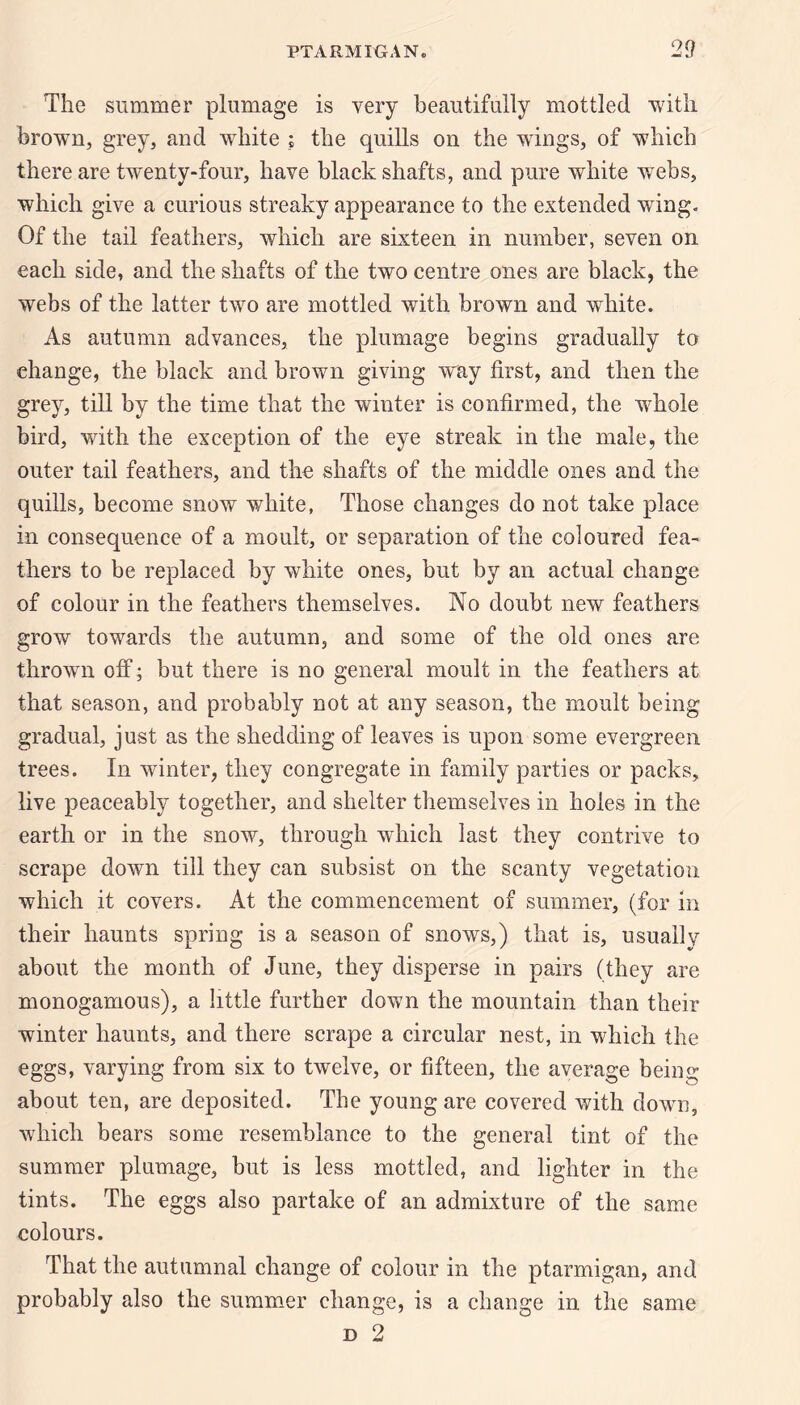 The summer plumage is very beautifully mottled with brown, grey, and white ; the quills on the wings, of which there are twenty-four, have black shafts, and pure white webs, which give a curious streaky appearance to the extended wing. Of the tail feathers, which are sixteen in number, seven on each side, and the shafts of the two centre ones are black, the webs of the latter two are mottled with brown and white. As autumn advances, the plumage begins gradually to change, the black and brown giving way first, and then the grey, till by the time that the winter is confirmed, the whole bird, with the exception of the eye streak in the male, the outer tail feathers, and the shafts of the middle ones and the quills, become snow white, Those changes do not take place in consequence of a moult, or separation of the coloured fea¬ thers to be replaced by white ones, but by an actual change of colour in the feathers themselves. No doubt new feathers grow towards the autumn, and some of the old ones are thrown off; but there is no general moult in the feathers at that season, and probably not at any season, the moult being gradual, just as the shedding of leaves is upon some evergreen trees. In winter, they congregate in family parties or packs, live peaceably together, and shelter themselves in holes in the earth or in the snow, through which last they contrive to scrape down till they can subsist on the scanty vegetation which it covers. At the commencement of summer, (for in their haunts spring is a season of snows,) that is, usually about the month of June, they disperse in pairs (they are monogamous), a little further down the mountain than their winter haunts, and there scrape a circular nest, in which the eggs, varying from six to twelve, or fifteen, the average beino- about ten, are deposited. The young are covered with down, which bears some resemblance to the general tint of the summer plumage, but is less mottled, and lighter in the tints. The eggs also partake of an admixture of the same colours. That the autumnal change of colour in the ptarmigan, and probably also the summer change, is a change in the same