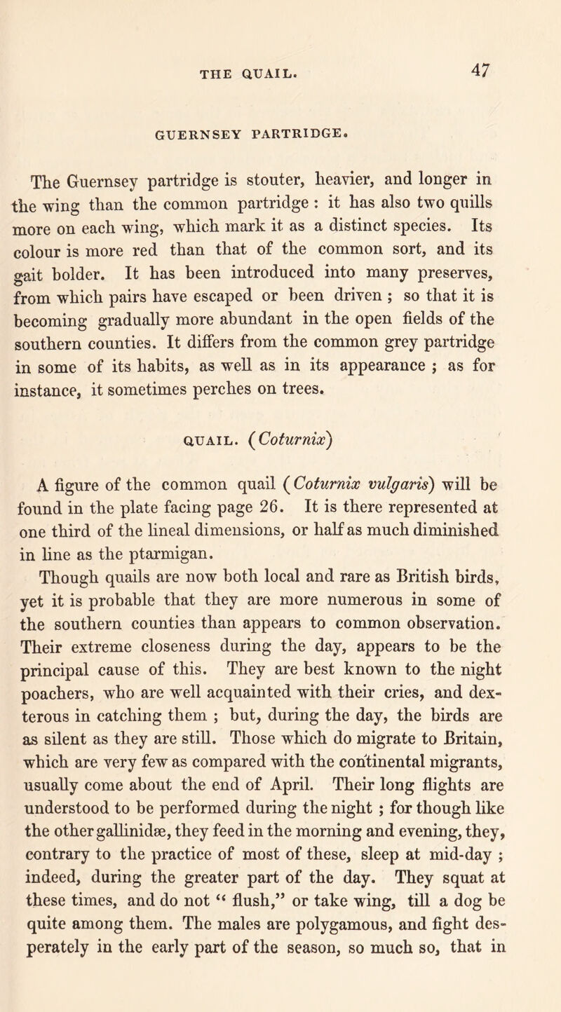 THE aUAIL. GUERNSEY PARTRIDGE. The Guernsey partridge is stouter, heavier, and longer in the wing than the common partridge : it has also two quills more on each wing, which mark it as a distinct species. Its colour is more red. than that of the common sort, and its gait holder. It has been introduced into many preserves, from which pairs have escaped or been driven ; so that it is becoming gradually more abundant in the open fields of the southern counties. It differs from the common grey partridge in some of its habits, as well as in its appearance ; as for instance, it sometimes perches on trees. QUAIL. (Coturnix) A figure of the common quail ( Coturnix vulgaris) will be found in the plate facing page 26. It is there represented at one third of the hneal dimensions, or half as much diminished in line as the ptarmigan. Though quails are now both local and rare as British birds, yet it is probable that they are more numerous in some of the southern counties than appears to common observation. Their extreme closeness during the day, appears to be the principal cause of this. They are best known to the night poachers, who are well acquainted with their cries, and dex¬ terous in catching them ; but, during the day, the birds are as silent as they are stiU. Those which do migrate to Britain, which are very few as compared with the continental migrants, usually come about the end of April. Their long flights are understood to be performed during the night ; for though like the other gaUinidse, they feed in the morning and evening, they, contrary to the practice of most of these, sleep at mid-day ; indeed, during the greater part of the day. They squat at these times, and do not “ flush,” or take wing, till a dog be quite among them. The males are polygamous, and fight des¬ perately in the early part of the season, so much so, that in