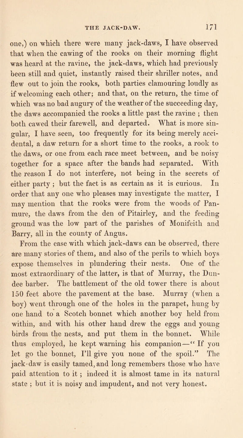 one,) on which there were many jack-daws, I have observed that when the cawing of the rooks on their morning flight was heard at the ravine, the jack-daws, which had previously been still and quiet, instantly raised their shriller notes, and flew out to join the rooks, both parties clamouring loudly as if welcoming each other; and that, on the return, the time of which was no bad augury of the weather of the succeeding day, the daws accompanied the rooks a little past the ravine ; then both cawed their farewell, and departed. What is more sin¬ gular, I have seen, too frequently for its being merely acci¬ dental, a daw return for a short time to the rooks, a rook to the daws, or one from each race meet between, and be noisy together for a space after the bands had separated. With the reason I do not interfere, not being in the secrets of either party ; but the fact is as certain as it is curious. In order that any one who pleases may investigate the matter, I may mention that the rooks were from the woods of Pan- mure, the daws from the den of Pitairley, and the feeding ground was the low part of the parishes of Monifeith and Barry, all in the county of Angus. From the ease with which jack-daws can be observed, there are many stories of them, and also of the perils to which boys expose themselves in plundering their nests. One of the most extraordinary of the latter, is that of Murray, the Dun¬ dee barber. The battlement of the old tower there is about 150 feet above the pavement at the base. Murray (when a boy) went through one of the holes in the parapet, hung by one hand to a Scotch bonnet which another boy held from within, and with his other hand drew the eggs and young birds from the nests, and put them in the bonnet. While thus employed, he kept warning his companion—If you let go the bonnet. I’ll give you none of the spoil.” The jack-daw is easily tamed, and long remembers those who have paid attention to it ; indeed it is almost tame in its natural state ; but it is noisy and impudent, and not very honest.
