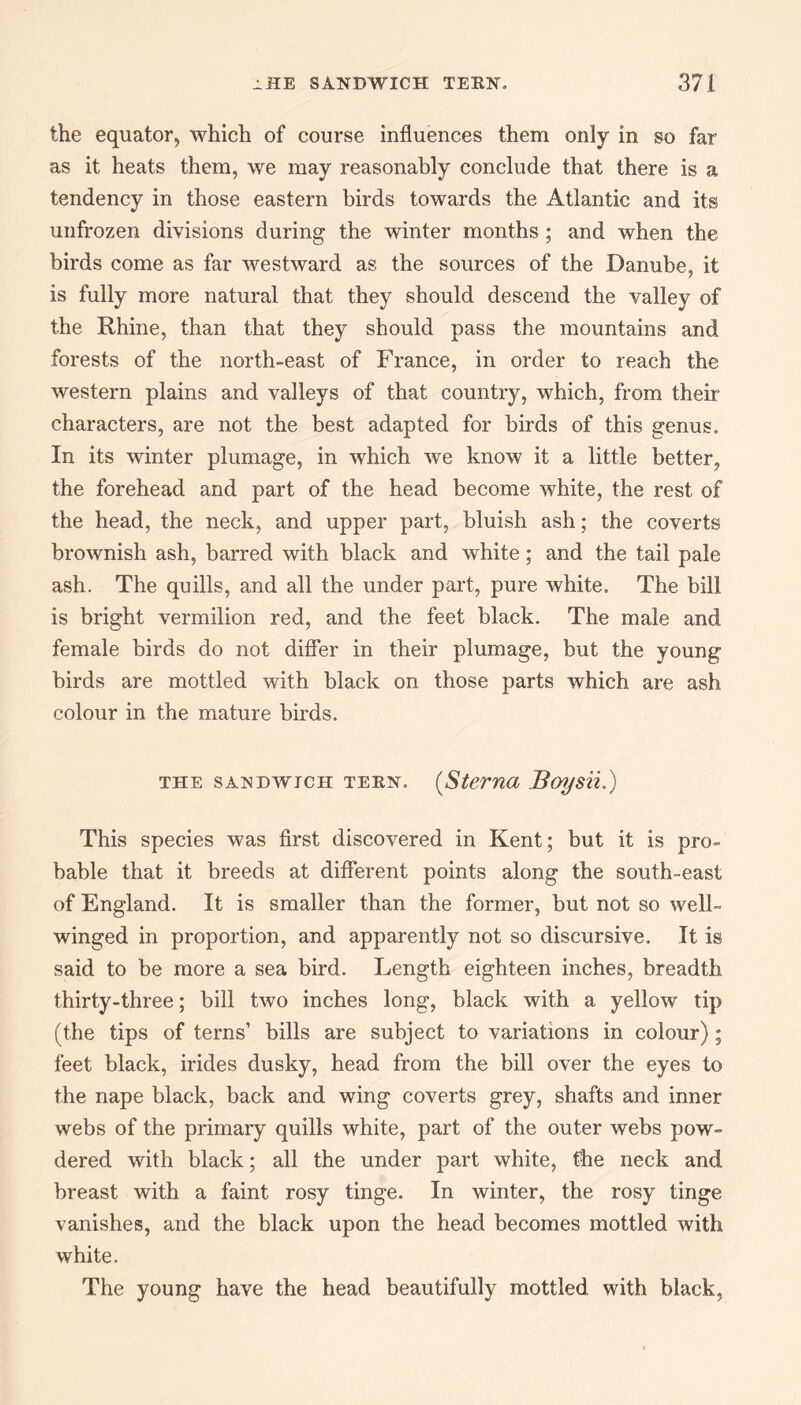 the equator, which of course influences them only in so far as it heats them, we may reasonably conclude that there is a tendency in those eastern birds towards the Atlantic and its unfrozen divisions during the winter months ; and when the birds come as far westward as the sources of the Danube, it is fully more natural that they should descend the valley of the Rhine, than that they should pass the mountains and forests of the north-east of France, in order to reach the western plains and valleys of that country, which, from their characters, are not the best adapted for birds of this genus. In its winter plumage, in which we know it a little better, the forehead and part of the head become white, the rest of the head, the neck, and upper part, bluish ash; the coverts brownish ash, barred with black and white; and the tail pale ash. The quills, and all the under part, pure white. The bill is bright vermilion red, and the feet black. The male and female birds do not differ in their plumage, but the young birds are mottled with black on those parts which are ash colour in the mature birds. the sandwich teen. (Sterna Boysii,) This species was first discovered in Kent; but it is pro- bable that it breeds at different points along the south-east of England. It is smaller than the former, but not so well- winged in proportion, and apparently not so discursive. It is said to be more a sea bird. Length eighteen inches, breadth thirty-three; bill two inches long, black with a yellow tip (the tips of terns’ bills are subject to variations in colour) ; feet black, irides dusky, head from the bill over the eyes to the nape black, back and wing coverts grey, shafts and inner webs of the primary quills white, part of the outer webs pow¬ dered with black; all the under part white, the neck and breast with a faint rosy tinge. In winter, the rosy tinge vanishes, and the black upon the head becomes mottled with white. The young have the head beautifully mottled with black,