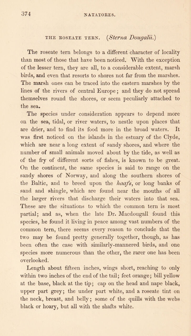 the roseate tern. (>Sterna Dougalii.) The roseate tern belongs to a different character of locality than most of those that have been noticed. With the exception of the lesser tern, they are all, to a considerable extent, marsh birds, and even that resorts to shores not far from the marshes. The marsh ones can be traced into the eastern marshes by the lines of the rivers of central Europe; and they do not spread themselves round the shores, or seem peculiarly attached to the sea. The species under consideration appears to depend more on the sea, tidal, or river waters, to nestle upon places that are drier, and to find its food more in the broad waters. It was first noticed on the islands in the estuary of the Clyde, which are near a long extent of sandy shores, and where the number of small animals moved about by the tide, as well as of the fry of different sorts of fishes, is known to be great. On the continent, the same species is said to range on the sandy shores of Norway, and along the southern shores of the Baltic, and to breed upon the haafs, or long banks of sand and shingle, which are found near the mouths of all the larger rivers that discharge their waters into that sea. These are the situations to which the common tern is most partial; and as, when the late Dr. Macdougall found this species, he found it living in peace among vast numbers of the common tern, there seems every reason to conclude that the two may be found pretty generally together, though, as has been often the case with similarly-mannered birds, and one species more numerous than the other, the rarer one has been overlooked. Length about fifteen inches, wings short, reaching to only within two inches of the end of the tail; feet orange; bill yellow at the base, black at the tip; cap on the head and nape black, upper part grey; the under part white, and a roseate tint on the neck, breast, and belly; some of the quills with the webs black or hoary, but all with the shafts white.