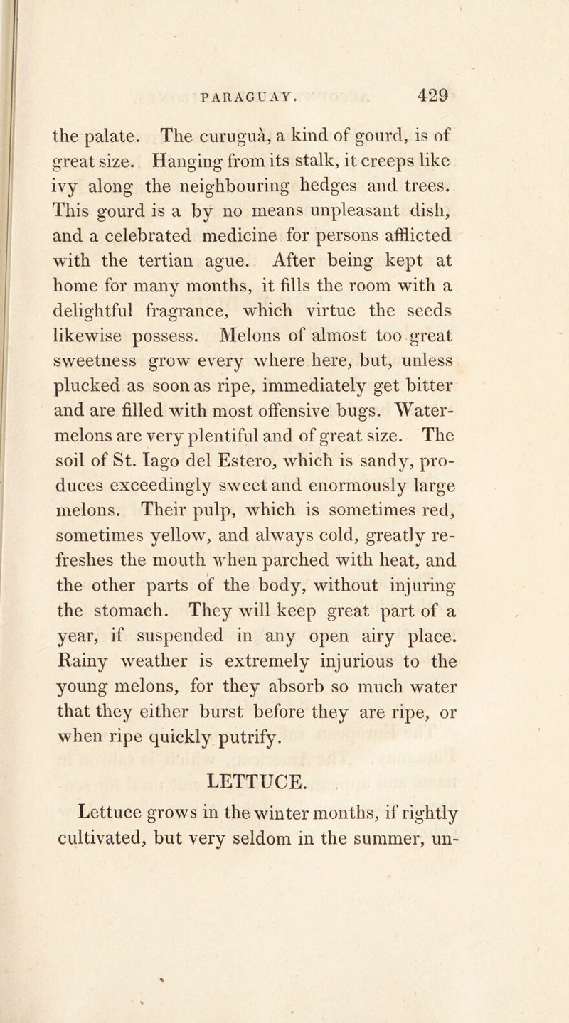 the palate. The curugua, a kind of gourd, is of great size. Hanging from its stalk, it creeps like ivy along the neighbouring hedges and trees. This gourd is a by no means unpleasant dish, and a celebrated medicine for persons afflicted with the tertian ague. After being kept at home for many months, it fills the room with a delightful fragrance, which virtue the seeds likewise possess. Melons of almost too great sweetness grow every where here, but, unless plucked as soon as ripe, immediately get bitter and are filled with most offensive bugs. Water- melons are very plentiful and of great size. The soil of St. Iago del Estero, which is sandy, pro- duces exceedingly sweet and enormously large melons. Their pulp, which is sometimes red, sometimes yellow, and always cold, greatly re- freshes the mouth when parched with heat, and i the other parts of the body, without injuring the stomach. They will keep great part of a year, if suspended in any open airy place. Rainy weather is extremely injurious to the young melons, for they absorb so much water that they either burst before they are ripe, or when ripe quickly putrify. LETTUCE. Lettuce grows in the winter months, if rightly cultivated, but very seldom in the summer, un-