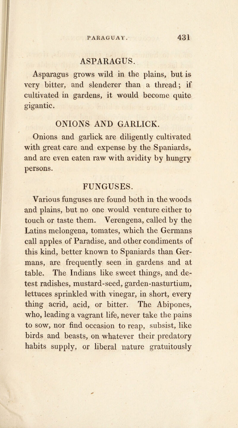 ASPARAGUS. Asparagus grows wild in the plains, but is very bitter, and slenderer than a thread; if cultivated in gardens, it would become quite gigantic. ONIONS AND GARLICK. Onions and garlick are diligently cultivated with great care and expense by the Spaniards, and are even eaten raw with avidity by hungry persons. FUNGUSES. Various funguses are found both in the woods and plains, but no one would venture either to touch or taste them. Verengena, called by the Latins melongena, tomates, which the Germans call apples of Paradise, and other condiments of this kind, better known to Spaniards than Ger- mans, are frequently seen in gardens and at table. The Indians like sweet things, and de- test radishes, mustard-seed, garden-nasturtium, lettuces sprinkled with vinegar, in short, every thing acrid, acid, or bitter. The Abipones, who, leading a vagrant life, never take the pains to sow, nor find occasion to reap, subsist, like birds and beasts, on whatever their predatory habits supply, or liberal nature gratuitously