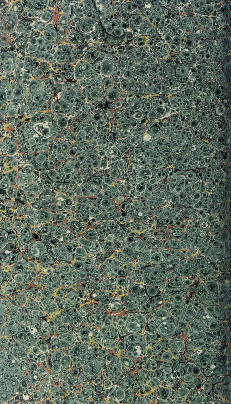 Ms® ,(^**-T,m/' '■Y*mA