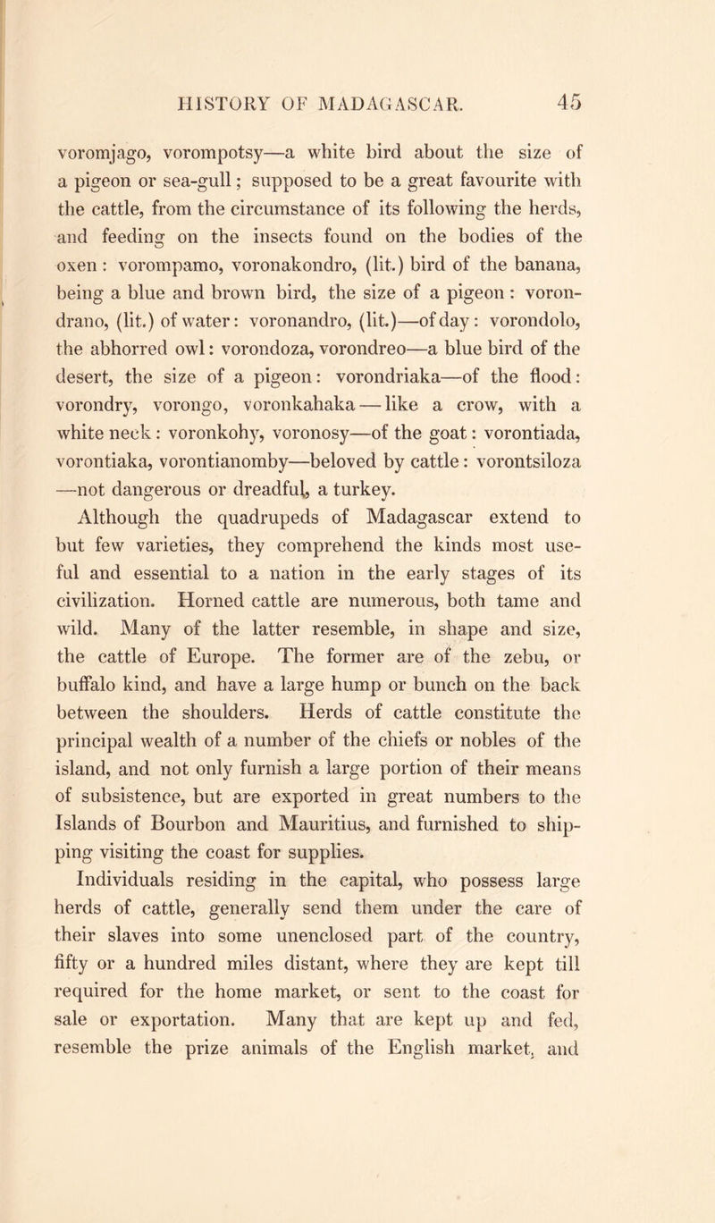 voromjago, vorompotsy—a white bird about the size of a pigeon or sea-gull; supposed to be a great favourite with the cattle, from the circumstance of its following the herds, and feeding on the insects found on the bodies of the oxen: vorompamo, voronakondro, (lit.) bird of the banana, being a blue and brown bird, the size of a pigeon : voron- drano, (lit.) of water: voronandro, (lit.)—of day: vorondolo, the abhorred owl: vorondoza, vorondreo—a blue bird of the desert, the size of a pigeon: vorondriaka—of the flood: vorondry, vorongo, voronkahaka — like a crow, with a white neck: voronkohy, voronosy—of the goat: vorontiada, vorontiaka, vorontianomby—beloved by cattle: vorontsiloza —not dangerous or dreadful, a turkey. Although the quadrupeds of Madagascar extend to but few varieties, they comprehend the kinds most use- ful and essential to a nation in the early stages of its civilization. Horned cattle are numerous, both tame and wild. Many of the latter resemble, in shape and size, the cattle of Europe. The former are of the zebu, or buffalo kind, and have a large hump or bunch on the back between the shoulders. Herds of cattle constitute the principal wealth of a number of the chiefs or nobles of the island, and not only furnish a large portion of their means of subsistence, but are exported in great numbers to the Islands of Bourbon and Mauritius, and furnished to ship- ping visiting the coast for supplies. Individuals residing in the capital, who possess large herds of cattle, generally send them under the care of their slaves into some unenclosed part of the country, fifty or a hundred miles distant, where they are kept till required for the home market, or sent to the coast for sale or exportation. Many that are kept up and fed, resemble the prize animals of the English market, and