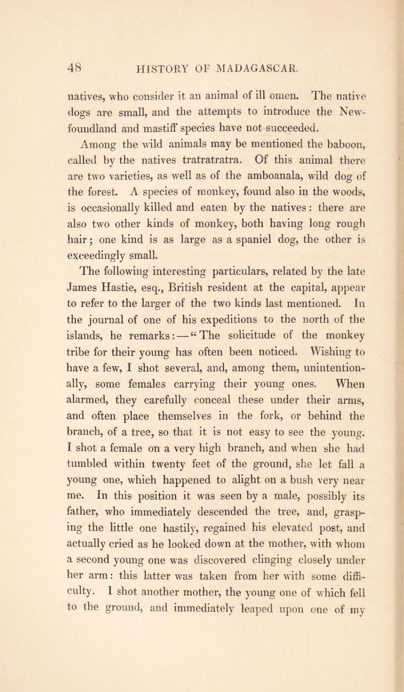 natives, who consider it an animal of ill omen. The native dogs are small, and the attempts to introduce the New- foundland and mastiff species have not succeeded. Among the wild animals may be mentioned the baboon, called by the natives tratratratra. Of this animal there are two varieties, as well as of the amboanala, wild dog of the forest. A species of monkey, found also in the woods, is occasionally killed and eaten by the natives: there are also two other kinds of monkey, both having long rough hair; one kind is as large as a spaniel dog, the other is exceedingly small. The following interesting particulars, related by the late James Hastie, esq., British resident at the capital, appear to refer to the larger of the two kinds last mentioned. In the journal of one of his expeditions to the north of the islands, he remarks: — “ The solicitude of the monkey tribe for their young has often been noticed. Wishing to have a few, I shot several, and, among them, unintention- ally, some females carrying their young ones. When alarmed, they carefully conceal these under their arms, and often place themselves in the fork, or behind the branch, of a tree, so that it is not easy to see the young. I shot a female on a very high branch, and when she had tumbled within twenty feet of the ground, she let fall a young one, which happened to alight on a bush very near me. In this position it was seen by a male, possibly its father, who immediately descended the tree, and, grasp- ing the little one hastily, regained his elevated post, and actually cried as he looked down at the mother, with whom a second young one was discovered clinging closely under her arm: this latter was taken from her with some diffi- culty. 1 shot another mother, the young one of which fell to the ground, and immediately leaped upon one of my