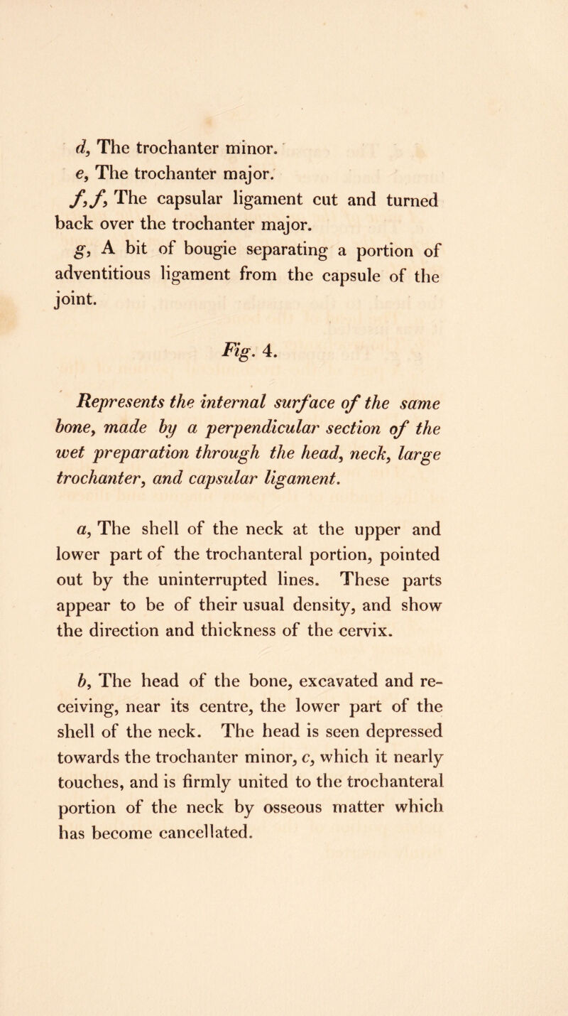 The trochanter minor.' e. The trochanter major. f, /y The capsular ligament cut and turned back over the trochanter major. g, A bit of bougie separating a portion of adventitious ligament from the capsule of the joint. Fig, 4. Represents the internal surface of the same honey made hy a perpendicular section of the wet preparation through the head, nechy large trochantery and capsular ligament, ay The shell of the neck at the upper and lower part of the trochanteral portion, pointed out by the uninterrupted lines. These parts appear to be of their usual density, and show the direction and thickness of the cervix. h. The head of the bone, excavated and re- ceiving, near its centre, the lower part of the shell of the neck. The head is seen depressed towards the trochanter minor, c, which it nearly touches, and is firmly united to the trochanteral portion of the neck by osseous matter which has become cancellated.