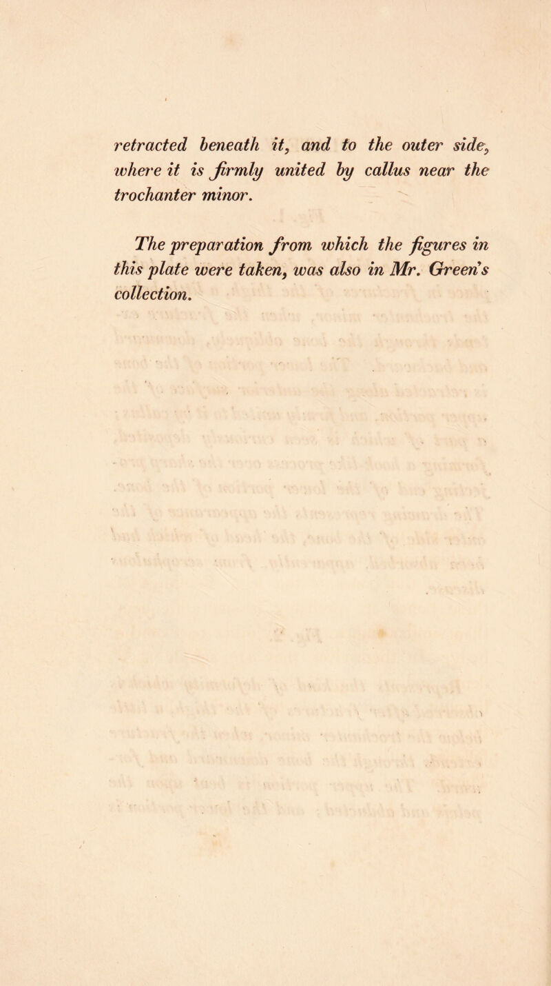 retracted beneath it, and to the outer side, whet'e it is Jirmly united by callus near the trochanter minor. The preparation from which the figures in this plate were taken, was also in Mr. Greens collection.