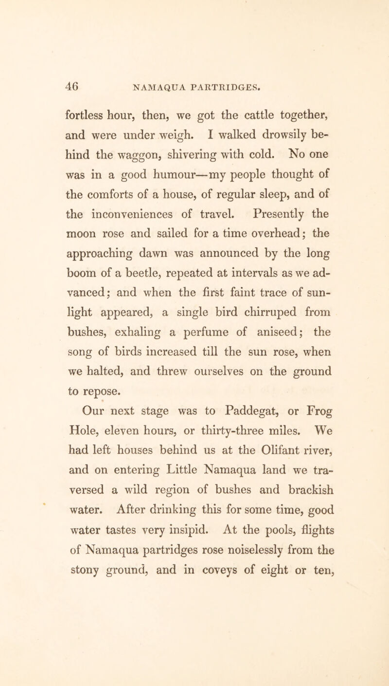 fortless hour, then, we got the cattle together, and were under weigh. I walked drowsily be- hind the waggon, shivering with cold. No one was in a good humour—my people thought of the comforts of a house, of regular sleep, and of the inconveniences of travel. Presently the moon rose and sailed for a time overhead; the approaching dawn was announced by the long boom of a beetle, repeated at intervals as we ad- vanced; and when the first faint trace of sun- light appeared, a single bird chirruped from bushes, exhaling a perfume of aniseed; the song of birds increased till the sun rose, when we halted, and threw ourselves on the ground to repose. Our next stage was to Paddegat, or Frog Hole, eleven hours, or thirty-three miles. We had left houses behind us at the Olifant river, and on entering Little Namaqua land we tra- versed a wild region of bushes and brackish water. After drinking this for some time, good water tastes very insipid. At the pools, flights of Namaqua partridges rose noiselessly from the stony ground, and in coveys of eight or ten,