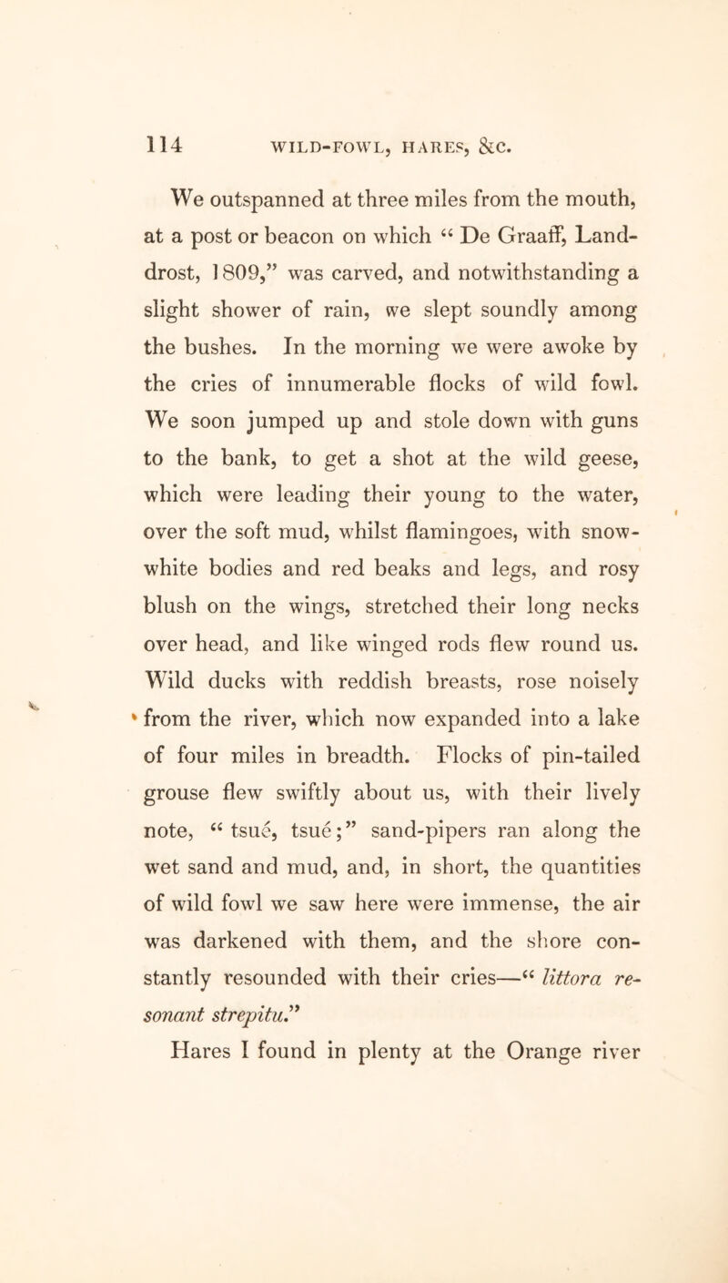 We outspanned at three miles from the mouth, at a post or beacon on which “ De Graaff, Land- drost, 1809,” was carved, and notwithstanding a slight shower of rain, we slept soundly among the bushes. In the morning we were awoke by the cries of innumerable flocks of wild fowl. We soon jumped up and stole down with guns to the bank, to get a shot at the wild geese, which were leading their young to the water, over the soft mud, whilst flamingoes, with snow- white bodies and red beaks and legs, and rosy blush on the wings, stretched their long necks over head, and like winged rods flew round us. Wild ducks with reddish breasts, rose noisely * from the river, which now expanded into a lake of four miles in breadth. Flocks of pin-tailed grouse flew swiftly about us, with their lively note, “ tsue, tsue; ” sand-pipers ran along the wet sand and mud, and, in short, the quantities of wrild fowl we saw here were immense, the air was darkened with them, and the shore con- stantly resounded with their cries—“ littora re- sonant strepitu.” Hares I found in plenty at the Orange river