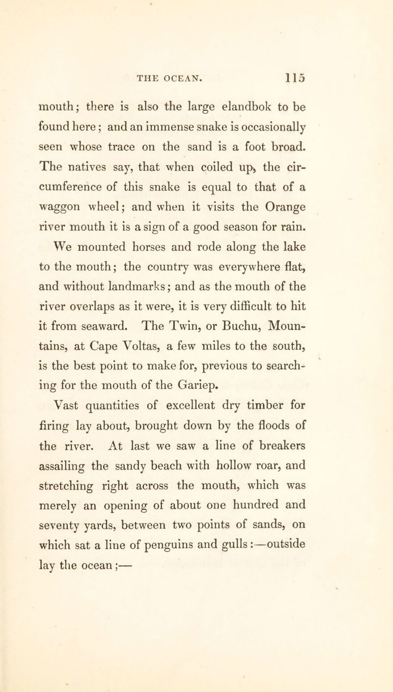 mouth; there is also the large elandbok to be found here; and an immense snake is occasionally seen whose trace on the sand is a foot broad. The natives say, that when coiled up, the cir- cumference of this snake is equal to that of a waggon wheel; and when it visits the Orange river mouth it is a sign of a good season for rain. We mounted horses and rode along the lake to the mouth; the country was everywhere flat, and without landmarks; and as the mouth of the river overlaps as it were, it is very difficult to hit it from seaward. The Twin, or Buchu, Moun- tains, at Cape Voltas, a few miles to the south, is the best point to make for, previous to search- ing for the mouth of the Gariep. Vast quantities of excellent dry timber for firing lay about, brought down by the floods of the river. At last we saw a line of breakers assailing the sandy beach with hollow roar, and stretching right across the mouth, which was merely an opening of about one hundred and seventy yards, between two points of sands, on which sat a line of penguins and gulls:—outside lay the ocean;—