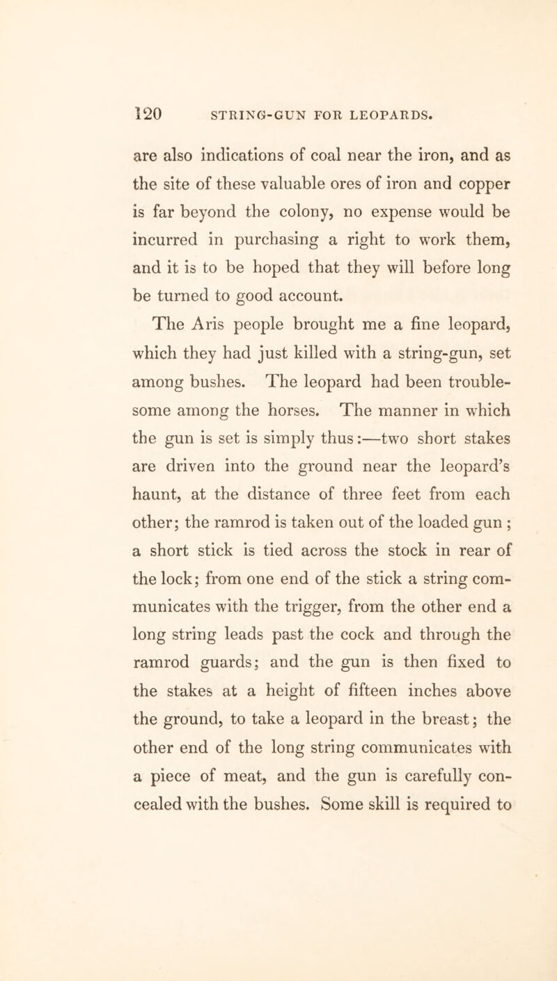 are also indications of coal near the iron, and as the site of these valuable ores of iron and copper is far beyond the colony, no expense would be incurred in purchasing a right to work them, and it is to be hoped that they will before long be turned to good account. The Aris people brought me a fine leopard, which they had just killed with a string-gun, set among bushes. The leopard had been trouble- some among the horses. The manner in which the gun is set is simply thus:—two short stakes are driven into the ground near the leopard’s haunt, at the distance of three feet from each other; the ramrod is taken out of the loaded gun ; a short stick is tied across the stock in rear of the lock; from one end of the stick a string com- municates with the trigger, from the other end a long string leads past the cock and through the ramrod guards; and the gun is then fixed to the stakes at a height of fifteen inches above the ground, to take a leopard in the breast; the other end of the long string communicates with a piece of meat, and the gun is carefully con- cealed with the bushes. Some skill is required to