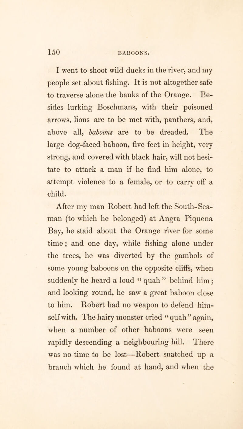 I went to shoot wild ducks in the river, and my people set about fishing. It is not altogether safe to traverse alone the banks of the Orange. Be- sides lurking Boschmans, with their poisoned arrows, lions are to be met with, panthers, and, above all, baboons are to be dreaded. The large dog-faced baboon, five feet in height, very strong, and covered with black hair, will not hesi- tate to attack a man if he find him alone, to attempt violence to a female, or to carry off a child. After my man Robert had left the South-Sea- man (to which he belonged) at Angra Piquena Bay, he staid about the Orange river for some time; and one day, while fishing alone under the trees, he was diverted by the gambols of some young baboons on the opposite cliffs, when suddenly he heard a loud “ quah ” behind him; and looking round, he saw a great baboon close to him. Robert had no weapon to defend him- self with. The hairy monster cried “quah” again, when a number of other baboons were seen rapidly descending a neighbouring hill. There was no time to be lost—Robert snatched up a branch which he found at hand, and when the