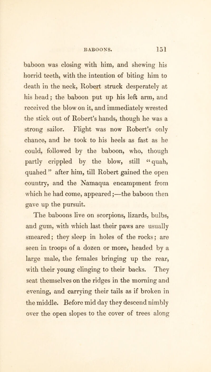 baboon was closing with him, and shewing his horrid teeth, with the intention of biting him to death in the neck, Robert struck desperately at his head; the baboon put up his left arm, and received the blow on it, and immediately wrested the stick out of Robert’s hands, though he was a strong sailor. Flight was now Robert’s only chance, and he took to his heels as fast as he could, followed by the baboon, who, though partly crippled by the blow, still “ quah, quahed ” after him, till Robert gained the open country, and the Namaqua encampment from which he had come, appeared;—the baboon then gave up the pursuit. The baboons live on scorpions, lizards, bulbs, and gum, with which last their paws are usually smeared; they sleep in holes of the rocks; are seen in troops of a dozen or more, headed by a large male, the females bringing up the rear, with their young clinging to their backs. They seat themselves on the ridges in the morning and evening, and carrying their tails as if broken in the middle. Before mid day they descend nimbly over the open slopes to the cover of trees along