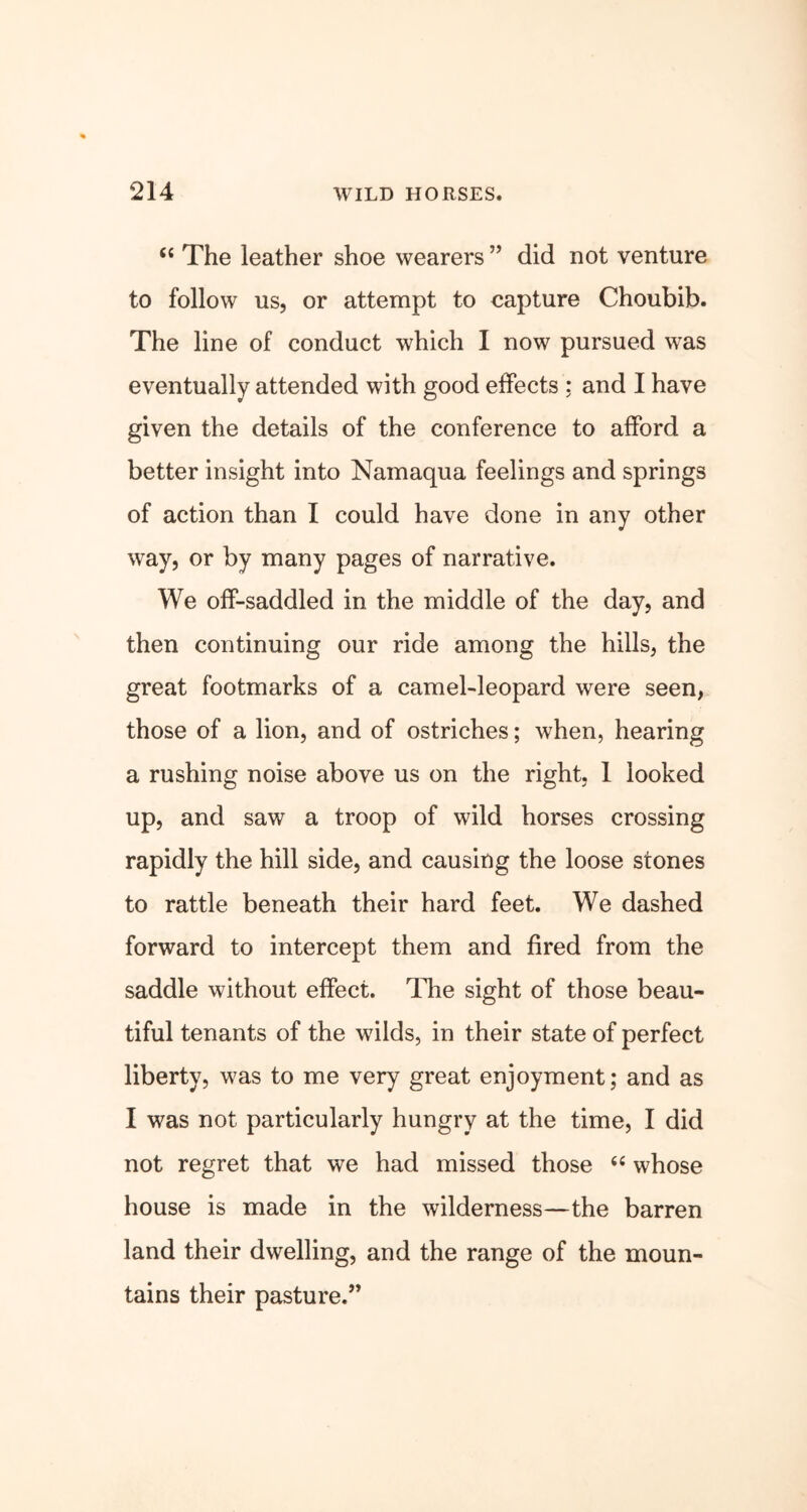 “ The leather shoe wearers ” did not venture to follow us, or attempt to capture Choubib. The line of conduct which I now pursued was eventually attended with good effects ; and I have given the details of the conference to afford a better insight into Namaqua feelings and springs of action than I could have done in any other way, or by many pages of narrative. We off-saddled in the middle of the day, and then continuing our ride among the hills, the great footmarks of a camel-leopard were seen, those of a lion, and of ostriches; when, hearing a rushing noise above us on the right, 1 looked up, and saw a troop of wild horses crossing rapidly the hill side, and causing the loose stones to rattle beneath their hard feet. We dashed forward to intercept them and fired from the saddle without effect. The sight of those beau- tiful tenants of the wilds, in their state of perfect liberty, was to me very great enjoyment; and as I was not particularly hungry at the time, I did not regret that we had missed those “ whose house is made in the wilderness—the barren land their dwelling, and the range of the moun- tains their pasture.”