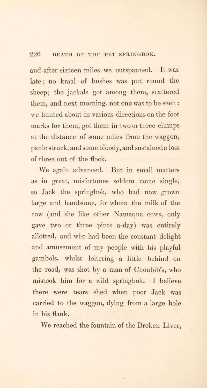 and after sixteen miles we outspanned. It was late; no kraal of bushes was put round the sheep; the jackals got among them, scattered them, and next morning, not one was to be seen : we hunted about in various directions on the foot marks for them, got them in two or three clumps at the distance of some miles from the waggon, panic struck, and some bloody, and sustained a loss of three out of the flock. We again advanced. But in small matters as in great, misfortunes seldom come single, so Jack, the springbok, who had now grown large and handsome, for whom the milk of the cow (and she like other Namaqua cows, only gave two or three pints a-day) was entirely allotted, and who had been the constant delight and amusement of my people with his playful gambols, whilst loitering a little behind on the road, was shot by a man of Choubib’s, who mistook him for a wild springbok. I believe there were tears shed when poor Jack was carried to the waggon, dying from a large hole in his flank. We reached the fountain of the Broken Liver,