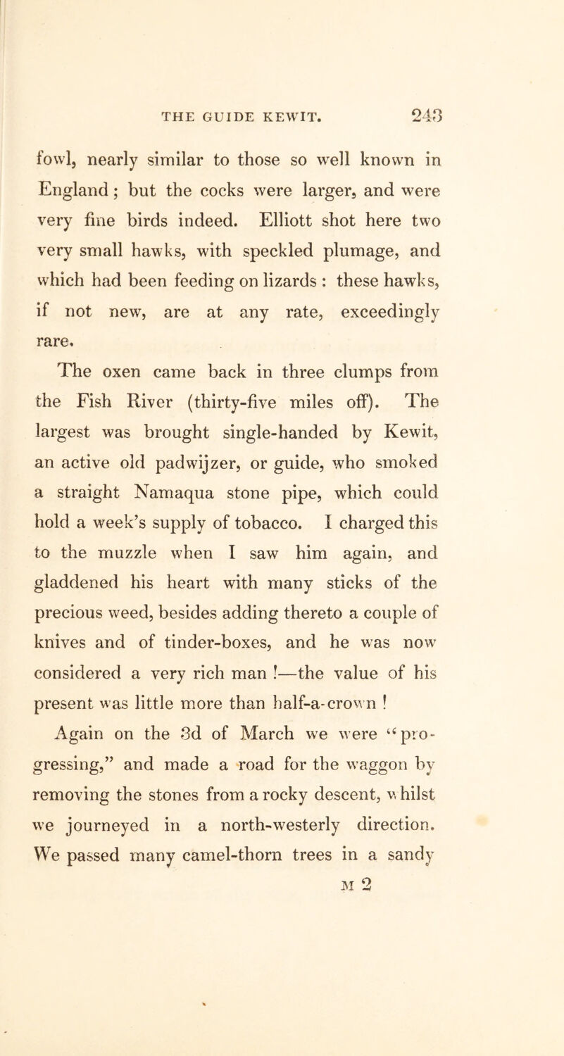 THE GUIDE KEWIT. 248 fowl, nearly similar to those so well known in England; but the cocks were largers and were very fine birds indeed. Elliott shot here two very small hawks, with speckled plumage, and which had been feeding on lizards : these hawks, if not new, are at any rate, exceedingly rare. The oxen came back in three clumps from the Fish River (thirty-five miles off). The largest was brought single-handed by Kewit, an active old padwijzer, or guide, who smoked a straight Namaqua stone pipe, which could hold a week’s supply of tobacco. I charged this to the muzzle when I saw him again, and gladdened his heart with many sticks of the precious weed, besides adding thereto a couple of knives and of tinder-boxes, and he was now considered a very rich man !—the value of his present was little more than half-a-crown ! Again on the 3d of March we were pro- gressing,” and made a road for the waggon by removing the stones from a rocky descent, v, hilst we journeyed in a north-westerly direction. We passed many camel-thorn trees in a sandy