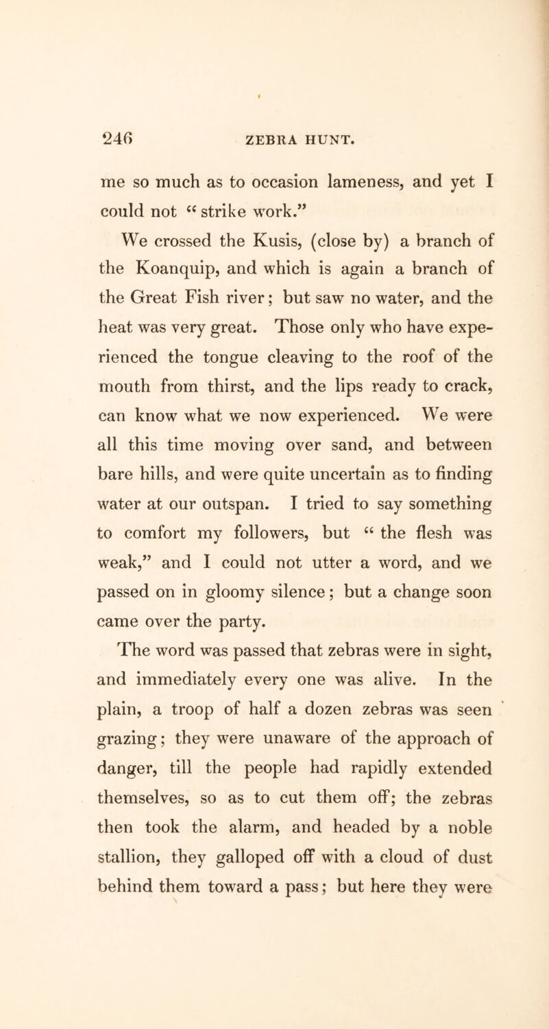 me so much as to occasion lameness, and yet I could not “ strike work.” We crossed the Kusis, (close by) a branch of the Koanquip, and which is again a branch of the Great Fish river; but saw no water, and the heat was very great. Those only who have expe- rienced the tongue cleaving to the roof of the mouth from thirst, and the lips ready to crack, can know what we now experienced. We were all this time moving over sand, and between bare hills, and were quite uncertain as to finding water at our outspan. I tried to say something to comfort my followers, but “ the flesh was weak,” and I could not utter a word, and we passed on in gloomy silence; but a change soon came over the party. The word was passed that zebras were in sight, and immediately every one was alive. In the plain, a troop of half a dozen zebras was seen grazing; they were unaware of the approach of danger, till the people had rapidly extended themselves, so as to cut them off; the zebras then took the alarm, and headed by a noble stallion, they galloped off with a cloud of dust behind them toward a pass; but here they were