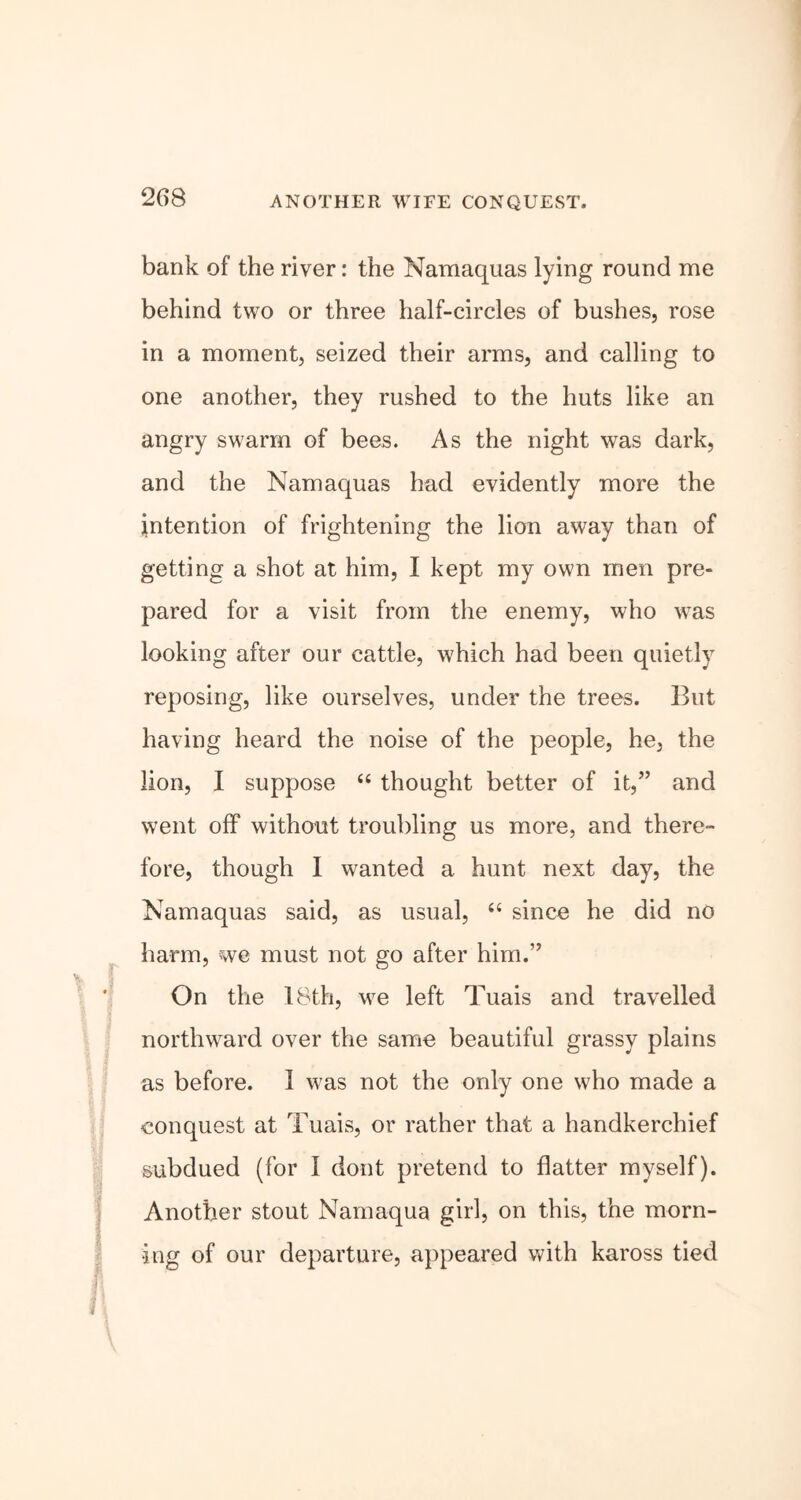 ANOTHER WIFE CONQUEST. v r \ bank of the river: the Namaquas lying round me behind two or three half-circles of bushes, rose in a moment, seized their arms, and calling to one another, they rushed to the huts like an angry swarm of bees. As the night was dark, and the Namaquas had evidently more the intention of frightening the lion away than of getting a shot at him, I kept my own men pre- pared for a visit from the enemy, who was looking after our cattle, which had been quietly reposing, like ourselves, under the trees. But having heard the noise of the people, he, the lion, I suppose “ thought better of it,” and went off without troubling us more, and there- fore, though I wanted a hunt next day, the Namaquas said, as usual, “ since he did no harm, we must not go after him.” On the 18th, we left Tuais and travelled northward over the same beautiful grassy plains as before. 1 was not the only one who made a conquest at Tuais, or rather that a handkerchief subdued (for I dont pretend to flatter myself). Another stout Namaqua girl, on this, the morn- ing of our departure, appeared with kaross tied