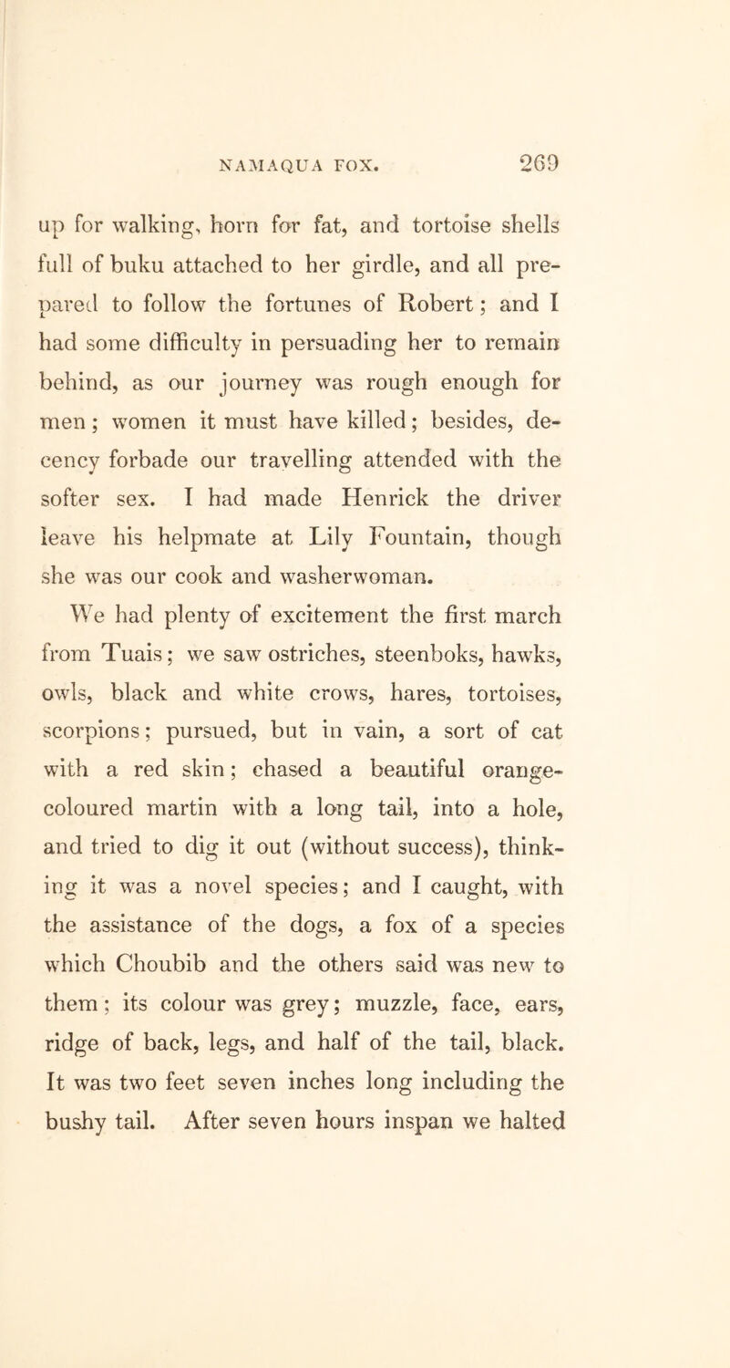 up for walking, horn for fat, and tortoise shells full of buku attached to her girdle, and all pre- pared to follow the fortunes of Robert; and I had some difficulty in persuading her to remain behind, as our journey was rough enough for men; women it must have killed; besides, de- cency forbade our travelling attended with the softer sex. I had made Henrick the driver leave his helpmate at Lily Fountain, though she was our cook and washerwoman. We had plenty of excitement the first march from Tuais; we saw ostriches, steenhoks, hawks, owls, black and white crows, hares, tortoises, scorpions; pursued, but in vain, a sort of cat with a red skin; chased a beautiful orange- coloured martin with a long tail, into a hole, and tried to dig it out (without success), think- ing it was a novel species; and I caught, with the assistance of the dogs, a fox of a species which Choubib and the others said was new to them; its colour was grey; muzzle, face, ears, ridge of back, legs, and half of the tail, black. It was two feet seven inches long including the bushy tail. After seven hours inspan we halted