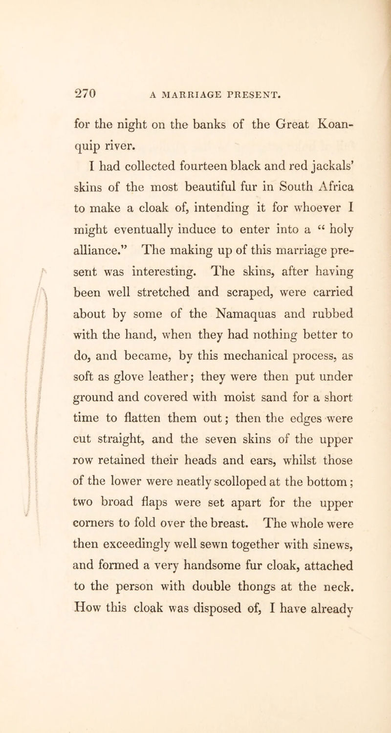for the night on the banks of the Great Koan- quip river. I had collected fourteen black and red jackals’ skins of the most beautiful fur in South Africa to make a cloak of, intending it for whoever I might eventually induce to enter into a “ holy alliance.” The making up of this marriage pre- sent was interesting. The skins, after having been well stretched and scraped, were carried about by some of the Namaquas and rubbed with the hand, when they had nothing better to do, and became, by this mechanical process, as soft as glove leather; they were then put under ground and covered with moist sand for a short time to flatten them out; then the edges were cut straight, and the seven skins of the upper row retained their heads and ears, whilst those of the lower were neatly scolloped at the bottom; two broad flaps were set apart for the upper comers to fold over the breast. The whole were then exceedingly well sewn together with sinews, and formed a very handsome fur cloak, attached to the person with double thongs at the neck. How this cloak was disposed of, I have already