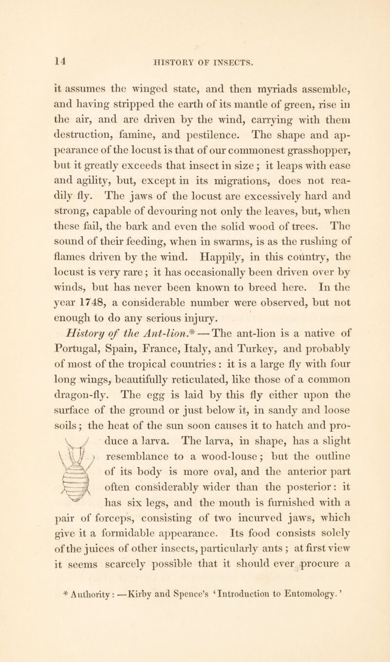 it assumes the winged state, and then myriads assemble, and having stripped the earth of its mantle of green, rise in the air, and are driven by the wind, carrying with them destruction, famine, and pestilence. The shape and ap¬ pearance of the locust is that of our commonest grasshopper, but it greatly exceeds that insect in size ; it leaps with ease and agility, but, except in its migrations, does not rea¬ dily fly. The jaws of the locust are excessively hard and strong, capable of devouring not only the leaves, but, when these fail, the bark and even the solid wood of trees. The sound of their feeding, when in swarms, is as the rushing of flames driven by the wind. Happily, in this country, the locust is very rare; it has occasionally been driven over by winds, but has never been known to breed here. In the year 1748, a considerable number were observed, but not enough to do any serious injury. History of the Ant-lion* — The ant-lion is a native of Portugal, Spain, France, Italy, and Turkey, and probably of most of the tropical countries : it is a large fly with four long wings, beautifully reticulated, like those of a common dragon-fly. The egg is laid by this fly either upon the surface of the ground or just below it, in sandy and loose soils; the heat of the sun soon causes it to hatch and pro¬ duce a larva. The larva, in shape, has a slight resemblance to a wood-louse ; but the outline of its body is more oval, and the anterior part often considerably wider than the posterior: it has six legs, and the mouth is furnished with a pair of forceps, consisting of two incurved jaws, which give it a formidable appearance. Its food consists solely of the juices of other insects, particularly ants ; at first view it seems scarcely possible that it should ever procure a