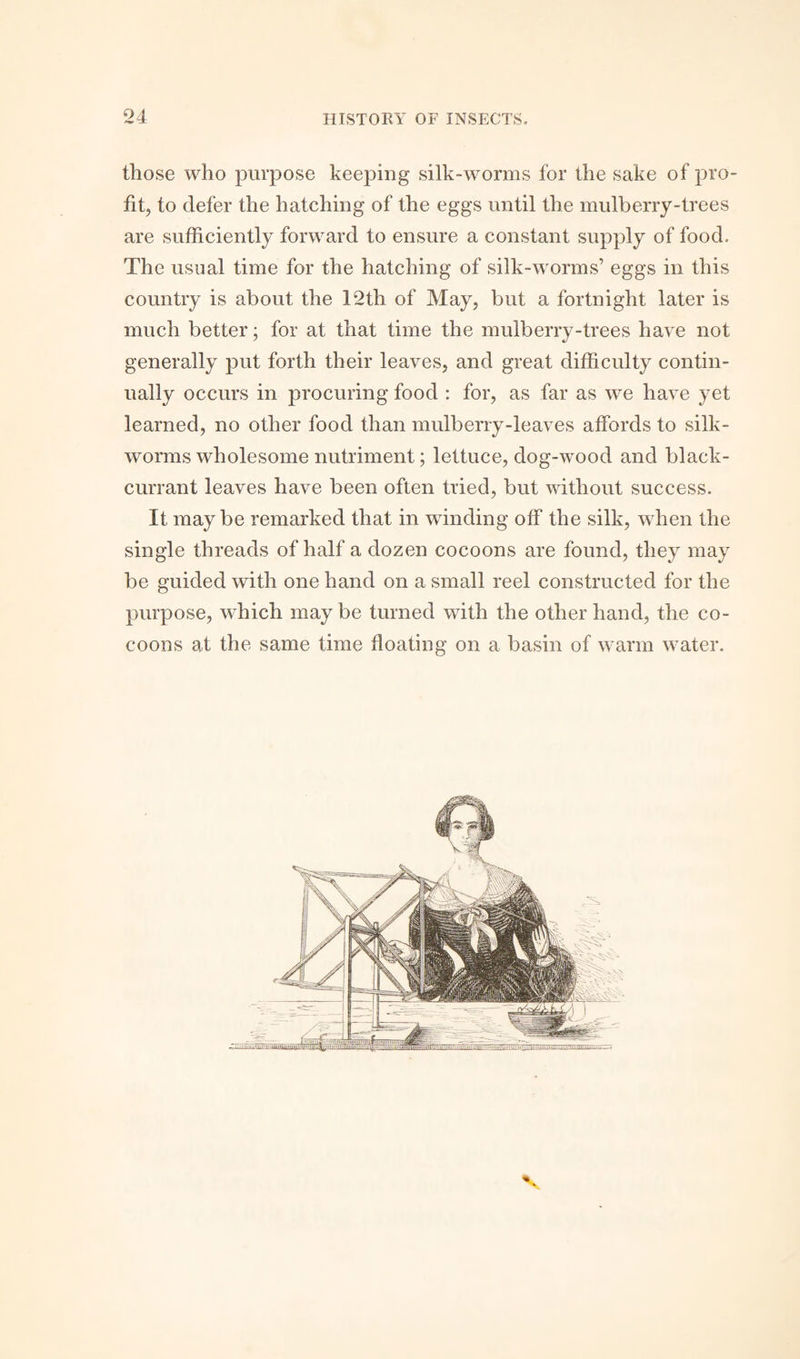 those who purpose keeping silk-worms for the sake of pro¬ fit, to defer the hatching of the eggs until the mulberry-trees are sufficiently forward to ensure a constant supply of food. The usual time for the hatching of silk-worms’ eggs in this country is about the 12th of May, but a fortnight later is much better; for at that time the mulberry-trees have not generally put forth their leaves, and great difficulty contin¬ ually occurs in procuring food : for, as far as we have yet learned, no other food than mulberry-leaves affords to silk¬ worms wholesome nutriment; lettuce, dog-wood and black¬ currant leaves have been often tried, but without success. It maybe remarked that in winding off the silk, when the single threads of half a dozen cocoons are found, they may be guided with one hand on a small reel constructed for the purpose, which may be turned with the other hand, the co¬ coons at the same time floating on a basin of warm water. V