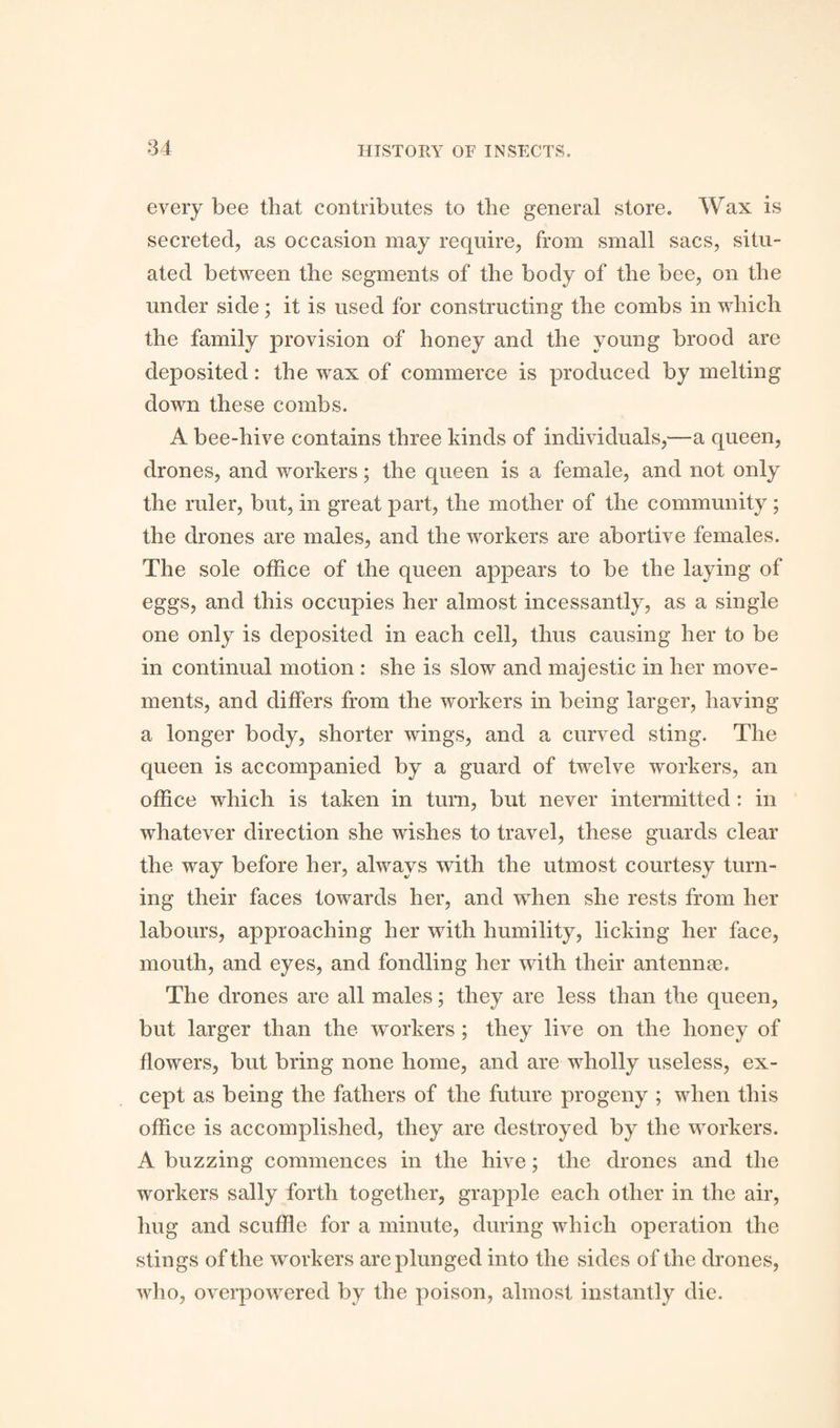 every bee that contributes to the general store. Wax is secreted, as occasion may require, from small sacs, situ¬ ated between the segments of the body of the bee, on the under side; it is used for constructing the combs in which the family provision of honey and the young brood are deposited: the wax of commerce is produced by melting down these combs. A bee-hive contains three kinds of individuals,—a queen, drones, and workers; the queen is a female, and not only the ruler, but, in great part, the mother of the community ; the drones are males, and the workers are abortive females. The sole office of the queen appears to be the laying of eggs, and this occupies her almost incessantly, as a single one only is deposited in each cell, thus causing her to be in continual motion : she is slow and majestic in her move¬ ments, and differs from the workers in being larger, having a longer body, shorter wings, and a curved sting. The queen is accompanied by a guard of twelve workers, an office which is taken in turn, but never intermitted : in whatever direction she wishes to travel, these guards clear the way before her, always with the utmost courtesy turn¬ ing their faces towards her, and when she rests from her labours, approaching her with humility, licking her face, mouth, and eyes, and fondling her with their antennas. The drones are all males; they are less than the queen, but larger than the workers ; they live on the honey of flowers, but bring none home, and are wholly useless, ex¬ cept as being the fathers of the future progeny ; when this office is accomplished, they are destroyed by the workers. A buzzing commences in the hive; the drones and the workers sally forth together, grapple each other in the air, hug and scuffle for a minute, during which operation the stings of the workers are plunged into the sides of the drones, who, overpowered by the poison, almost instantly die.