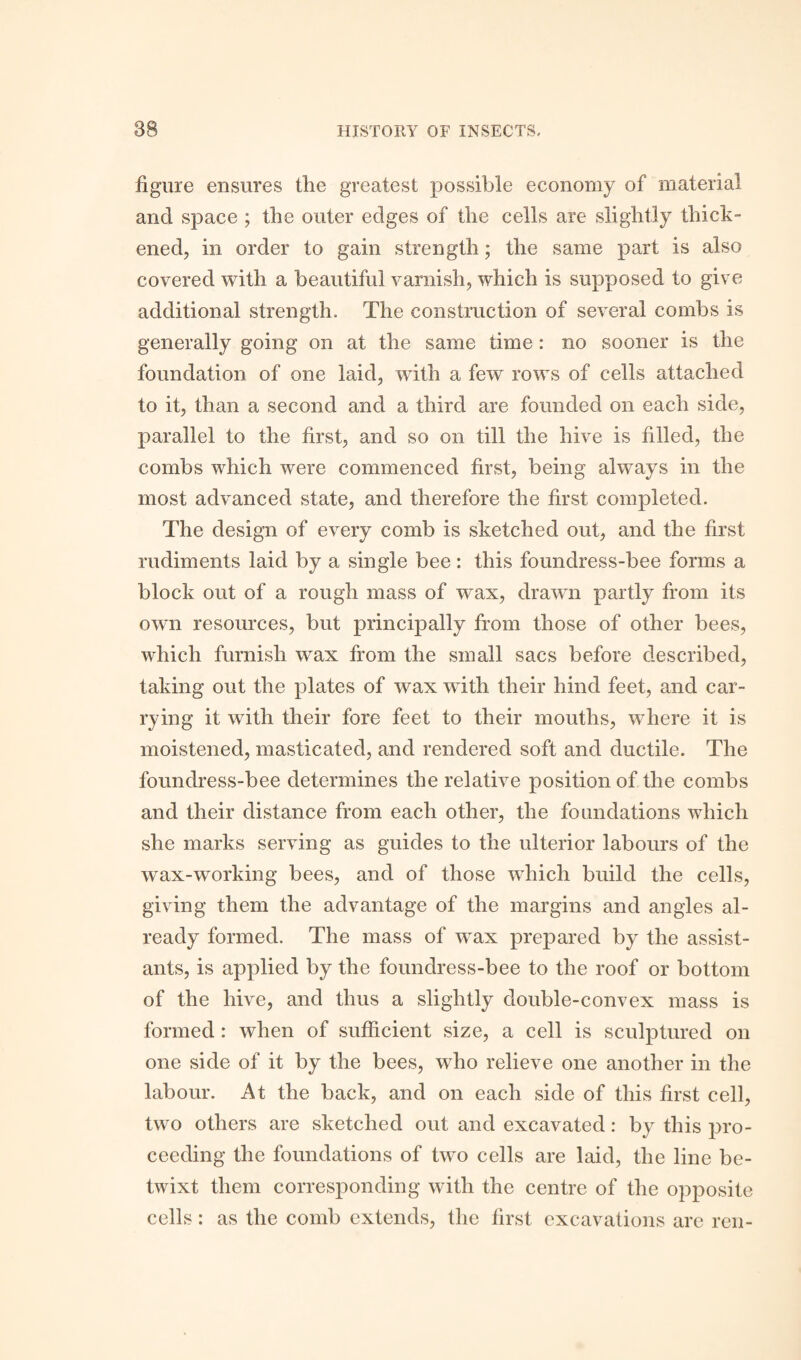 figure ensures the greatest possible economy of material and space ; the outer edges of the cells are slightly thick¬ ened, in order to gain strength; the same part is also covered with a beautiful varnish, which is supposed to give additional strength. The construction of several combs is generally going on at the same time: no sooner is the foundation of one laid, with a few rows of cells attached to it, than a second and a third are founded on each side, parallel to the first, and so on till the hive is filled, the combs which were commenced first, being always in the most advanced state, and therefore the first completed. The design of every comb is sketched out, and the first rudiments laid by a single bee: this foundress-bee forms a block out of a rough mass of wax, drawn partly from its own resources, but principally from those of other bees, which furnish wax from the small sacs before described, taking out the plates of wax with their hind feet, and car¬ rying it with their fore feet to their mouths, where it is moistened, masticated, and rendered soft and ductile. The foundress-bee determines the relative position of the combs and their distance from each other, the foundations which she marks serving as guides to the ulterior labours of the wax-working bees, and of those which build the cells, giving them the advantage of the margins and angles al¬ ready formed. The mass of wax prepared by the assist¬ ants, is applied by the foundress-bee to the roof or bottom of the hive, and thus a slightly double-convex mass is formed: when of sufficient size, a cell is sculptured on one side of it by the bees, who relieve one another in the labour. At the back, and on each side of this first cell, two others are sketched out and excavated: by this pro¬ ceeding the foundations of two cells are laid, the line be¬ twixt them corresponding with the centre of the opposite cells: as the comb extends, the first excavations are ren-