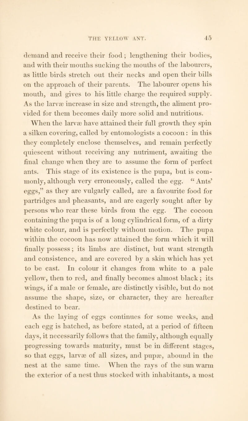 demand and receive their food; lengthening their bodies, and with their mouths sucking the mouths of the labourers, as little birds stretch out their necks and open their bills on the approach of their parents. The labourer opens his mouth, and gives to his little charge the required supply. As the larva? increase in size and strength, the aliment pro¬ vided for them becomes daily more solid and nutritious. When the larva? have attained their full growth they spin a silken covering, called by entomologists a cocoon: in this they completely enclose themselves, and remain perfectly quiescent without receiving any nutriment, awaiting the final change when they are to assume the form of perfect ants. This stage of its existence is the pupa, but is com¬ monly, although very erroneously, called the egg. “ Ants’ eggs,” as they are vulgarly called, are a favourite food for partridges and pheasants, and are eagerly sought after by persons who rear these birds from the egg. The cocoon containing the pupa is of a long cylindrical form, of a dirty white colour, and is perfectly without motion. The pupa within the cocoon has now attained the form which it will finally possess; its limbs are distinct, but want strength and consistence, and are covered by a skin which has yet to be cast. In colour it changes from white to a pale yellow, then to red, and finally becomes almost black; its wings, if a male or female, are distinctly visible, but do not assume the shape, size, or character, they are hereafter destined to bear. As the laying of eggs continues for some weeks, and each egg is hatched, as before stated, at a period of fifteen days, it necessarily follows that the family, although equally progressing towards maturity, must be in different stages, so that eggs, larva? of all sizes, and pupa?, abound in the nest at the same time. When the rays of the sun warm the exterior of a nest thus stocked with inhabitants, a most