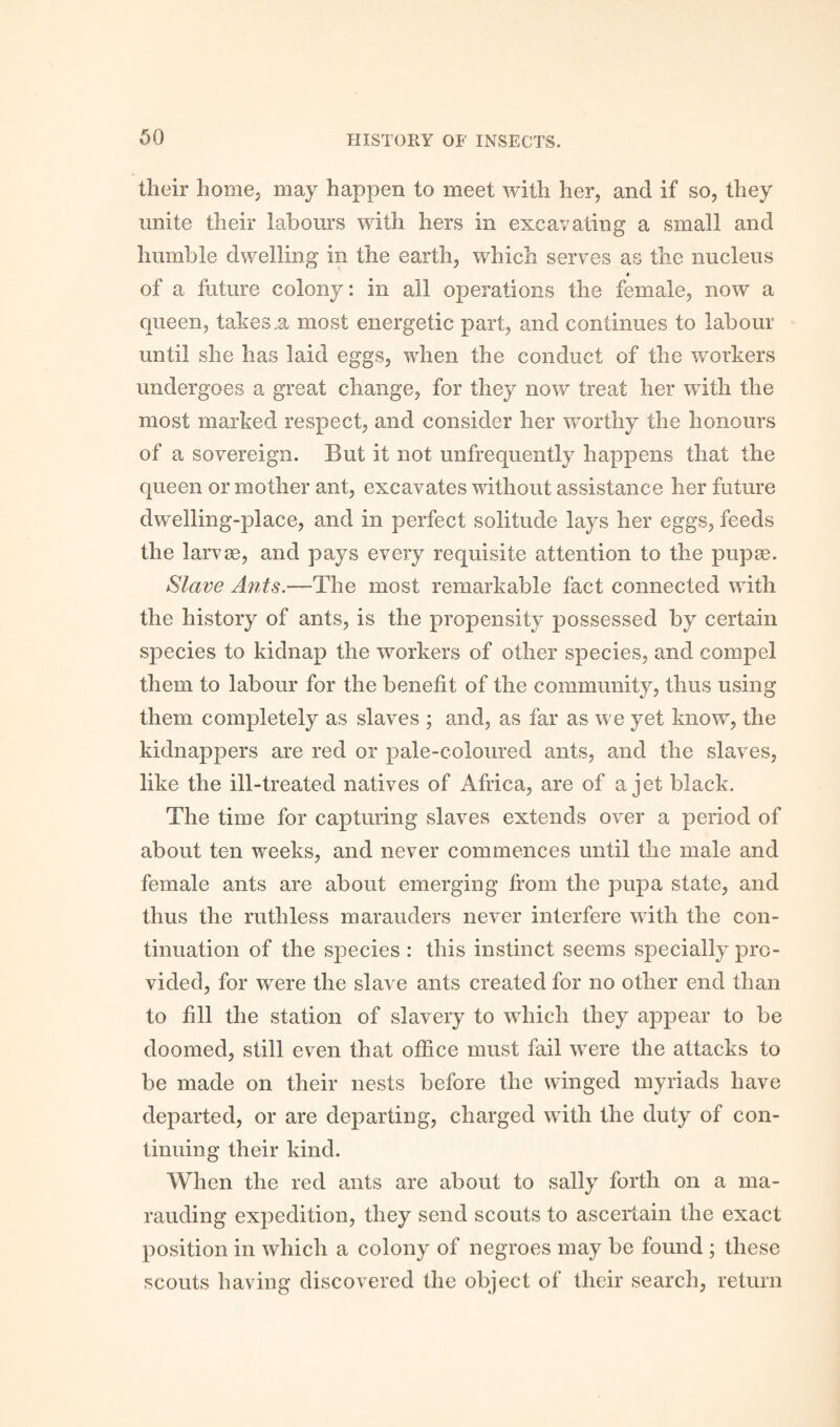 their home, may happen to meet with her, and if so, they unite their labours with hers in excavating a small and humble dwelling in the earth, which serves as the nucleus * of a future colony: in all operations the female, now a queen, takes.a most energetic part, and continues to labour until she has laid eggs, when the conduct of the workers undergoes a great change, for they now treat her with the most marked respect, and consider her worthy the honours of a sovereign. But it not unfrequently happens that the queen or mother ant, excavates without assistance her future dwelling-place, and in perfect solitude lays her eggs, feeds the larvae, and pays every requisite attention to the pupae. Slave Ants.—The most remarkable fact connected with the history of ants, is the propensity possessed by certain species to kidnap the workers of other species, and compel them to labour for the benefit of the community, thus using them completely as slaves ; and, as far as we yet know, the kidnappers are red or pale-coloured ants, and the slaves, like the ill-treated natives of Africa, are of a jet black. The time for capturing slaves extends over a period of about ten weeks, and never commences until the male and female ants are about emerging from the pupa state, and thus the ruthless marauders never interfere with the con¬ tinuation of the species : this instinct seems specially pro¬ vided, for were the slave ants created for no other end than to fill the station of slavery to which they appear to be doomed, still even that office must fail were the attacks to be made on their nests before the winged myriads have departed, or are departing, charged with the duty of con¬ tinuing their kind. When the red ants are about to sally forth on a ma¬ rauding expedition, they send scouts to ascertain the exact position in which a colony of negroes may be found ; these scouts having discovered the object of their search, return