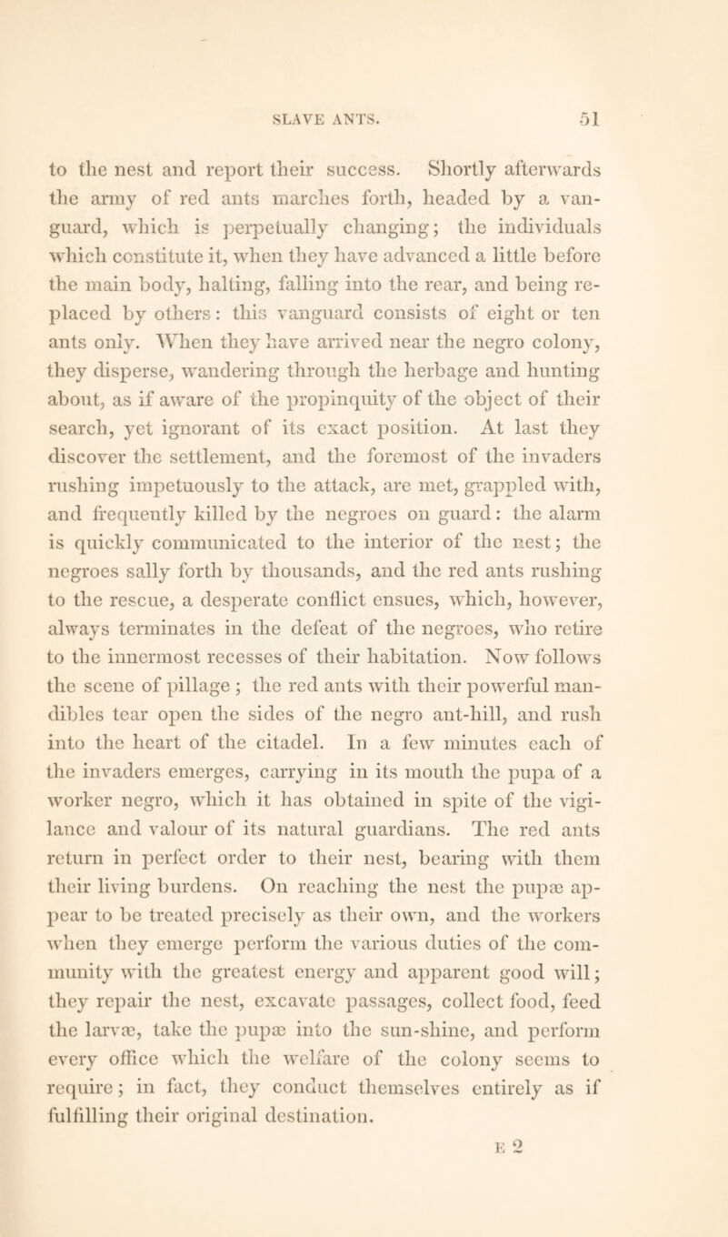 to tlie nest and report their success. Shortly afterwards the army of red ants marches forth, headed by a van¬ guard, which is perpetually changing; the individuals which constitute it, when they have advanced a little before the main body, halting, falling into the rear, and being re¬ placed by others: this vanguard consists of eight or ten ants only. When they have arrived near the negro colony, they disperse, wandering through the herbage and hunting about, as if aware of the propinquity of the object of their search, yet ignorant of its exact position. At last they discover the settlement, and the foremost of the invaders rushing impetuously to the attack, are met, grappled with, and frequently killed by the negroes on guard: the alarm is quickly communicated to the interior of the nest; the negroes sally forth by thousands, and the red ants rushing to the rescue, a desperate conflict ensues, which, however, always terminates in the defeat of the negroes, who retire to the innermost recesses of their habitation. Now follows the scene of pillage ; the red ants with their powerful man¬ dibles tear open the sides of the negro ant-hill, and rush into the heart of the citadel. In a few minutes each of the invaders emerges, carrying in its mouth the pupa of a worker negro, which it has obtained in spite of the vigi¬ lance and valour of its natural guardians. The red ants return in perfect order to their nest, bearing with them their living burdens. On reaching the nest the pupae ap¬ pear to be treated precisely as their own, and the workers when they emerge perform the various duties of the com¬ munity with the greatest energy and apparent good will; they repair the nest, excavate passages, collect food, feed the larvae, take the pupae into the sun-shine, and perform every office which the welfare of the colony seems to require; in fact, they conduct themselves entirely as if fulfilling their original destination.