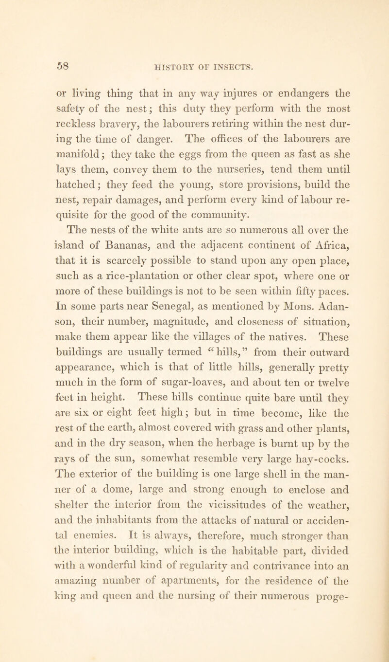 or living thing that in any way injures or endangers the safety of the nest; this duty they perform with the most reckless bravery, the labourers retiring within the nest dur¬ ing the time of danger. The offices of the labourers are manifold; they take the eggs from the queen as fast as she lays them, convey them to the nurseries, tend them until hatched; they feed the young, store provisions, build the nest, repair damages, and perform every kind of labour re¬ quisite for the good of the community. The nests of the white ants are so numerous all over the island of Bananas, and the adjacent continent of Africa, that it is scarcely possible to stand upon any open place, such as a rice-plantation or other clear spot, where one or more of these buildings is not to be seen within fifty paces. In some parts near Senegal, as mentioned by Mons. Adan- son, their number, magnitude, and closeness of situation, make them appear like the villages of the natives. These buildings are usually termed “ hills, ” from their outward appearance, which is that of little hills, generally pretty much in the form of sugar-loaves, and about ten or twelve feet in height. These hills continue quite bare until they are six or eight feet high; but in time become, like the rest of the earth, almost covered with grass and other plants, and in the dry season, when the herbage is burnt up by the rays of the sun, somewhat resemble very large hay-cocks. The exterior of the building is one large shell in the man¬ ner of a dome, large and strong enough to enclose and shelter the interior from the vicissitudes of the weather, and the inhabitants from the attacks of natural or acciden¬ tal enemies. It is always, therefore, much stronger than the interior building, which is the habitable part, divided with a wonderful kind of regularity and contrivance into an amazing number of apartments, for the residence of the king and queen and the nursing of their numerous proge-