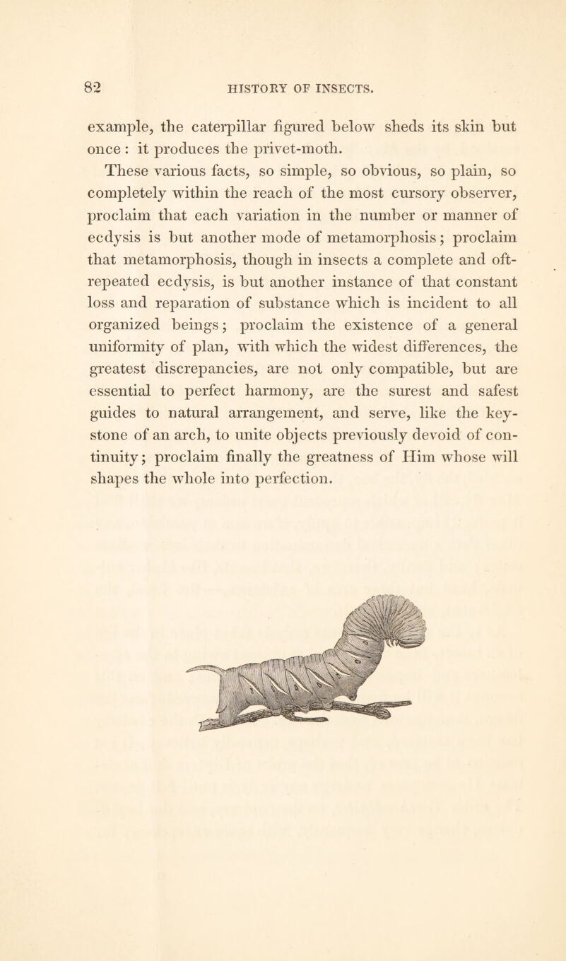 example, the caterpillar figured below sheds its skin blit once : it produces the privet-moth. These various facts, so simple, so obvious, so plain, so completely within the reach of the most cursory observer, proclaim that each variation in the number or manner of ecdysis is but another mode of metamorphosis; proclaim that metamorphosis, though in insects a complete and oft- repeated ecdysis, is but another instance of that constant loss and reparation of substance which is incident to all organized beings; proclaim the existence of a general uniformity of plan, with which the widest differences, the greatest discrepancies, are not only compatible, but are essential to perfect harmony, are the surest and safest guides to natural arrangement, and serve, like the key¬ stone of an arch, to unite objects previously devoid of con¬ tinuity ; proclaim finally the greatness of Him whose will shapes the whole into perfection.