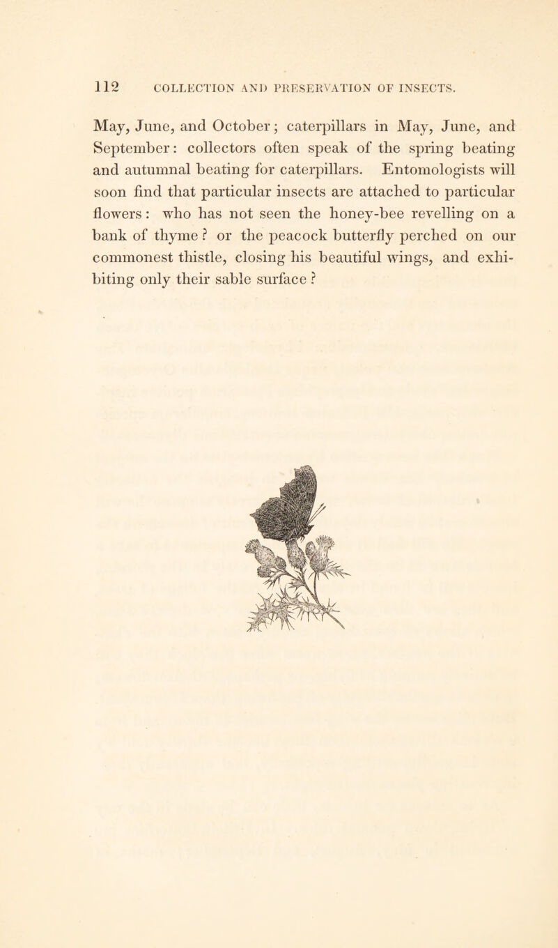 May, June, and October; caterpillars in May, June, and September: collectors often speak of the spring beating and autumnal beating for caterpillars. Entomologists will soon find that particular insects are attached to particular flowers: who has not seen the honey-bee revelling on a bank of thyme ? or the peacock butterfly perched on our commonest thistle, closing his beautiful wings, and exhi¬ biting only their sable surface ?