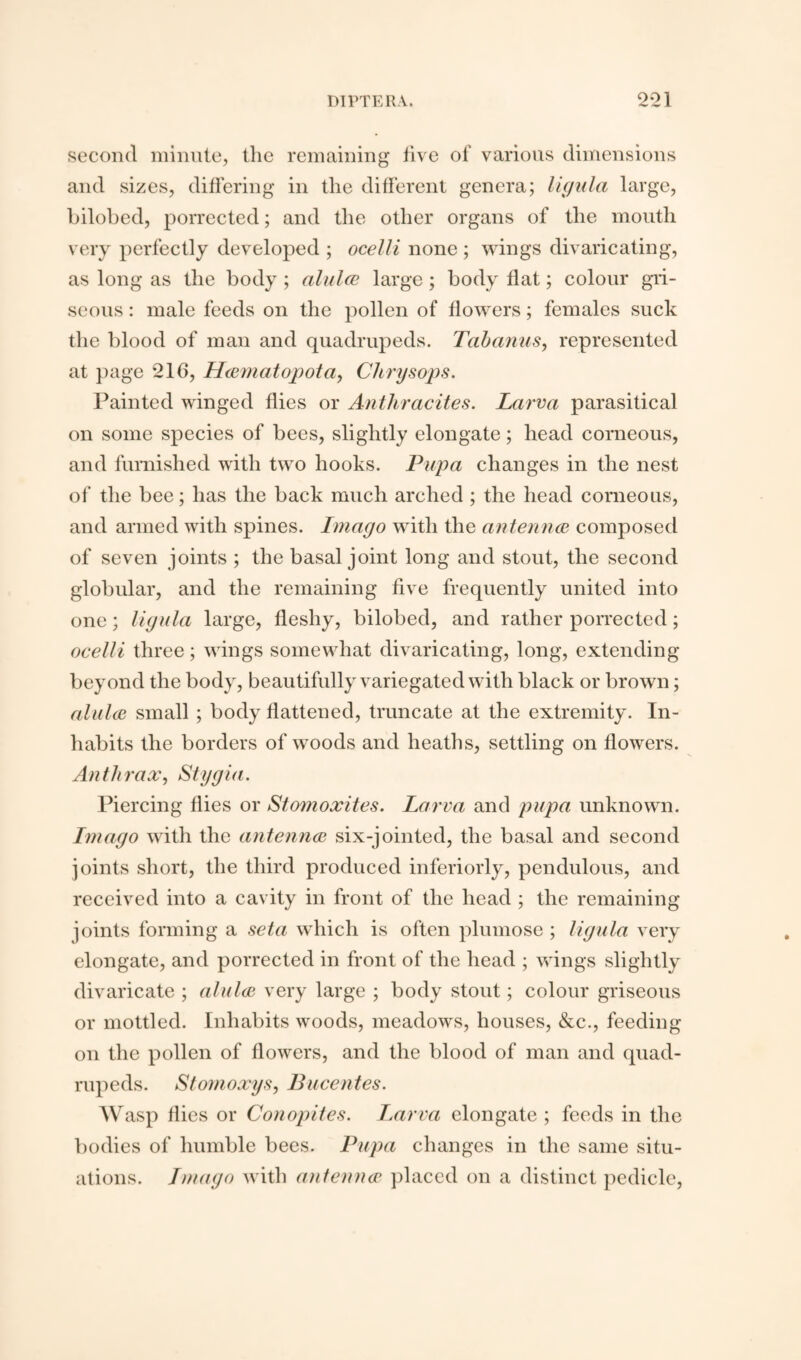 second minute, the remaining five of various dimensions and sizes, differing in the different genera; ligula large, bilobed, porrected; and the other organs of the mouth very perfectly developed ; ocelli none ; wings divaricating, as long as the body ; alulce large ; body flat; colour gri- seous: male feeds on the pollen of flowers; females suck the blood of man and quadrupeds. Tabanus, represented at page *216, Haematopota, Chrysops. Painted winged flies or Anthracites. Larva parasitical on some species of bees, slightly elongate; head corneous, and furnished with two hooks. Pupa changes in the nest of the bee; has the back much arched ; the head corneous, and armed with spines. Imago with the antennae composed of seven joints ; the basal joint long and stout, the second globular, and the remaining five frequently united into one; ligula large, fleshy, bilobed, and rather porrected; ocelli three; wings somewhat divaricating, long, extending beyond the body, beautifully variegated with black or brown; alulae small ; body flattened, truncate at the extremity. In¬ habits the borders of woods and heaths, settling on flowers. Anthrax, Stygia. Piercing flies or Stomoxites. Larva and pupa unknown. Imago with the antennae six-jointed, the basal and second joints short, the third produced inferiorly, pendulous, and received into a cavity in front of the head ; the remaining joints forming a seta which is often plumose ; ligula very elongate, and porrected in front of the head ; wings slightly divaricate ; alulae very large ; body stout; colour griseous or mottled. Inhabits woods, meadows, houses, &c., feeding on the pollen of flowers, and the blood of man and quad¬ rupeds. Stomoxys, Bucentes. Wasp flies or Conopites. Larva elongate ; feeds in the bodies of humble bees. Pupa changes in the same situ¬ ations. Imago with antennae placed on a distinct pedicle,