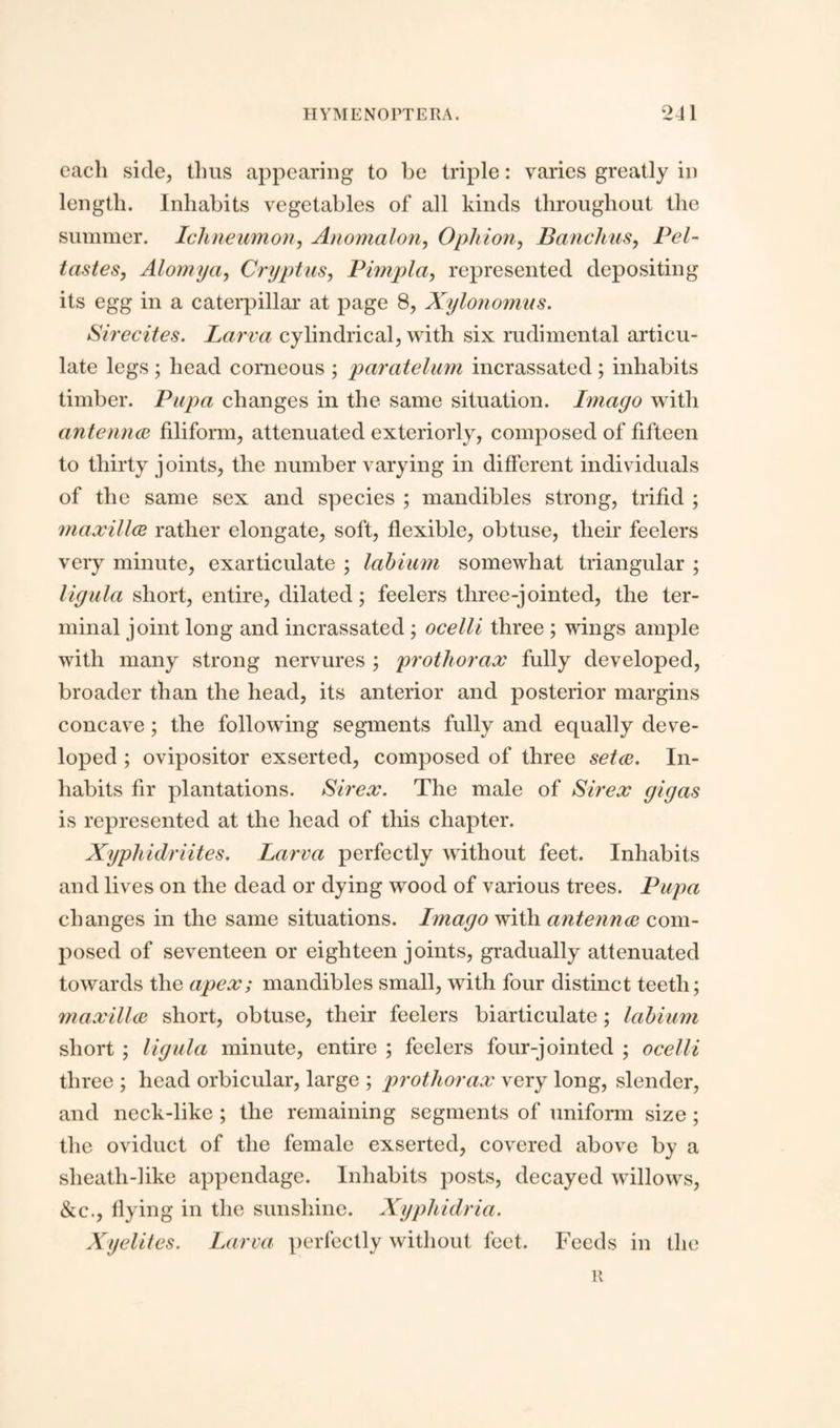 each side, thus appearing to be triple: varies greatly in length. Inhabits vegetables of all kinds throughout the summer. Ichneumon, Anomalon, Ophion, Banchus, Pel- tastes, Alomya, Cryptus, Pimpla, represented depositing its egg in a caterpillar at page 8, Xylonomus. Sirecites. Larva cylindrical, with six rudimental articu¬ late legs ; head corneous ; paratelum incrassated; inhabits timber. Pupa changes in the same situation. Imago with antennae filiform, attenuated exteriorly, composed of fifteen to thirty joints, the number varying in different individuals of the same sex and species ; mandibles strong, trifid ; maxillae rather elongate, soft, flexible, obtuse, their feelers very minute, exarticulate ; labium somewhat triangular ; ligula short, entire, dilated; feelers three-jointed, the ter¬ minal joint long and incrassated ; ocelli three ; wings ample with many strong nervures ; prothorax fully developed, broader than the head, its anterior and posterior margins concave; the following segments fully and equally deve¬ loped ; ovipositor exserted, composed of three setae. In¬ habits fir plantations. Sirex. The male of Sirex gigas is represented at the head of this chapter. Xyphidriites. Larva perfectly without feet. Inhabits and lives on the dead or dying wood of various trees. Pupa changes in the same situations. Imago with antennae com¬ posed of seventeen or eighteen joints, gradually attenuated towards the apex; mandibles small, with four distinct teeth; maxillae short, obtuse, their feelers biarticulate; labium short ; ligula minute, entire ; feelers four-jointed ; ocelli three ; head orbicular, large ; prothorax very long, slender, and neck-like ; the remaining segments of uniform size; the oviduct of the female exserted, covered above by a sheath-like appendage. Inhabits posts, decayed willows, <kc., fiying in the sunshine. Xyphidria. Xyelites. Larva perfectly without feet. Feeds in the R