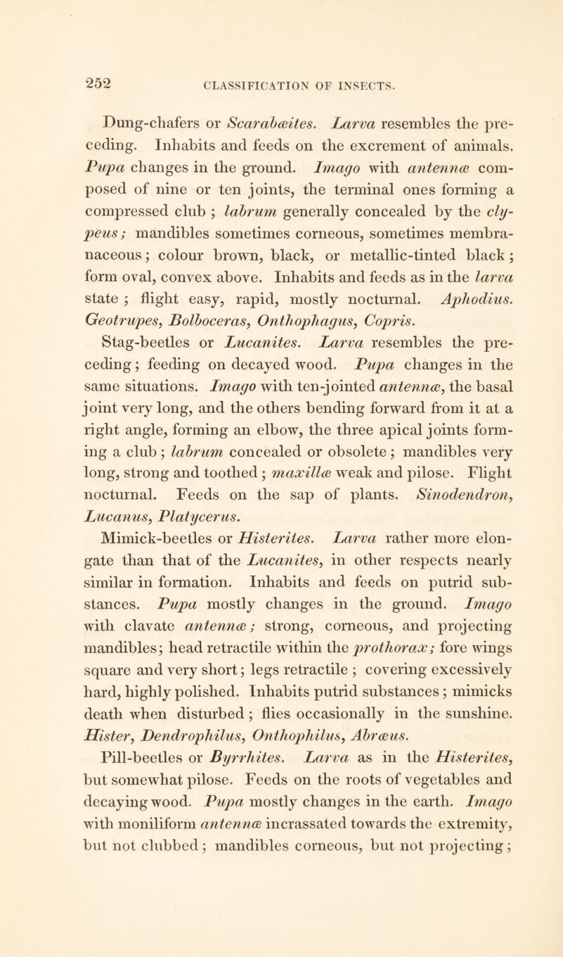 Dung-chafers or Scarabceites. Larva resembles the pre¬ ceding. Inhabits and feeds on the excrement of animals. Pupa changes in the ground. Imago with antennce com¬ posed of nine or ten joints, the terminal ones forming a compressed club ; labrum generally concealed by the cly- peus; mandibles sometimes corneous, sometimes membra¬ naceous ; colour brown, black, or metallic-tinted black ; form oval, convex above. Inhabits and feeds as in the larva state ; flight easy, rapid, mostly nocturnal. Aphodius. Geotrupes, Bolboceras, Onthophagus, Copr is. Stag-beetles or Lucanites. Larva resembles the pre¬ ceding ; feeding on decayed wood. Pupa changes in the same situations. Imago with ten-jointed antennce, the basal joint very long, and the others bending forward from it at a right angle, forming an elbow, the three apical joints form¬ ing a club ; labrum concealed or obsolete ; mandibles very long, strong and toothed; maxillae weak and pilose. Flight nocturnal. Feeds on the sap of plants. Sinodendron, Lucanus, Platycerus. Mimick-beetles or Histerites. Larva rather more elon¬ gate than that of the Lucanites, in other respects nearly similar in formation. Inhabits and feeds on putrid sub¬ stances. Pupa mostly changes in the ground. Imago with clavate antennce; strong, corneous, and projecting mandibles; head retractile within the prothorax; fore wings square and very short; legs retractile ; covering excessively hard, highly polished. Inhabits putrid substances; mimicks death when disturbed; flies occasionally in the sunshine. Hister, Dendrophilus, Onthophilus, Abrceus. Pill-beetles or Byrrliites. Larva as in the Histerites, but somewhat pilose. Feeds on the roots of vegetables and decaying wood. Pupa mostly changes in the earth. Imago with moniliform antennce incrassated towards the extremity, but not clubbed; mandibles corneous, but not projecting;