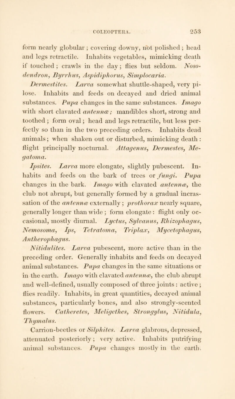 form nearly globular ; covering downy, not polished; head and legs retractile. Inhabits vegetables, mimicking death if touched ; crawls in the day; flies but seldom. Aroso- dendron, Byrrhus, Aspidiphorus, Simplocaria. Dermestites. Larva somewhat shuttle-shaped, very pi¬ lose. Inhabits and feeds on decayed and dried animal substances. Pupa changes in the same substances. Imago with short clavated antemice; mandibles short, strong and toothed ; form oval; head and legs retractile, but less per¬ fectly so than in the two preceding orders. Inhabits dead animals; when shaken out or disturbed, mimicking death : flight principally nocturnal. Attagenus, Dermestes, Me- gatom a. Ipsites. Larva, more elongate, slightly pubescent. In¬ habits and feeds on the bark of trees or fungi. Pupa changes in the bark. Imago with clavated antenna, the club not abrupt, but generally formed by a gradual incras- sation of the antenna externally; prothorax nearly square, generally longer than wide ; form elongate : flight only oc¬ casional, mostly diurnal. Lyctus, Sylvanus, Rhizophagus, Nemosoma, Ips, Tetratoma, Trip lax, Mycetophagus, Antherophagus. Nitidulites. Larva pubescent, more active than in the preceding order. Generally inhabits and feeds on decayed animal substances. Pupa changes in the same situations or in the earth. Imago with clavated antenna, the club abrupt and well-defined, usually composed of three joints : active ; flies readily. Inhabits, in great quantities, decayed animal substances, particularly bones, and also strongly-scented flowers. Catheretes, Meligethes, Strongylus, Nitidula, Thymalus. Carrion-beetles or Silphites. Larva glabrous, depressed, attenuated posteriorly; very active. Inhabits putrifying animal substances. Pupa changes mostly in the earth.