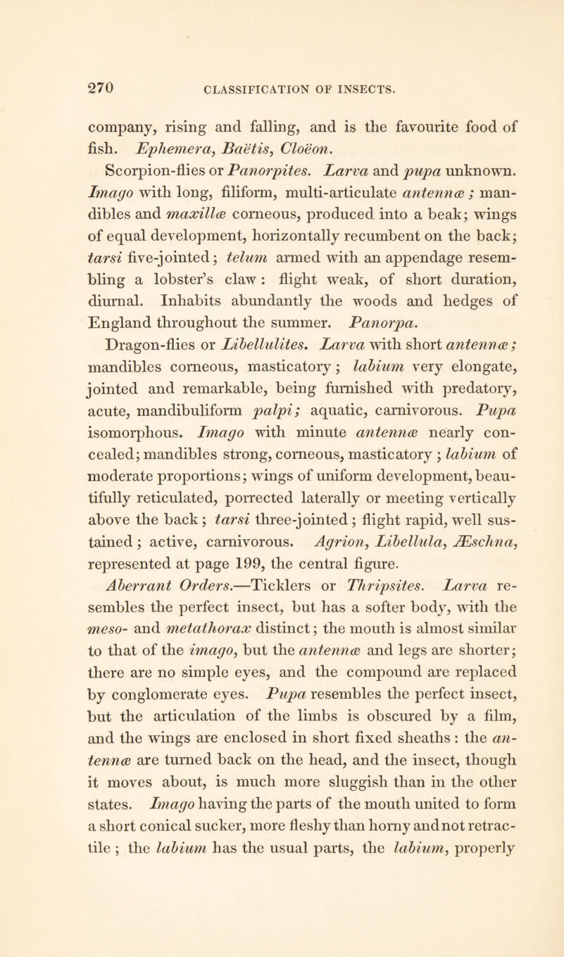 company, rising and falling, and is the favourite food of fish. Ephemera, Baetis, Cloeon. Scorpion-flies or Panorpites. Larva and pupa unknown. Imago with long, filiform, multi-articulate antennae ; man¬ dibles and maxillae corneous, produced into a beak; wings of equal development, horizontally recumbent on the back; tarsi five-jointed; telum armed with an appendage resem¬ bling a lobster’s claw: flight weak, of short duration, diurnal. Inhabits abundantly the woods and hedges of England throughout the summer. Panorpa. Dragon-flies or Libellulites. Larva with short antennae ; mandibles corneous, masticatory; labium very elongate, jointed and remarkable, being furnished with predatory, acute, mandibuliform palpi; aquatic, carnivorous. Pupa isomorphous. Imago with minute antennae nearly con¬ cealed; mandibles strong, corneous, masticatory ; labium of moderate proportions; wings of uniform development, beau¬ tifully reticulated, porrected laterally or meeting vertically above the back; tarsi three-jointed ; flight rapid, well sus¬ tained ; active, carnivorous. Agrion, Libellula, JEschna, represented at page 199, the central figure. Aberrant Orders.—Ticklers or Thripsites. Larva re¬ sembles the perfect insect, but has a softer body, with the meso- and metathorax distinct; the mouth is almost similar to that of the imago, but the antennae and legs are shorter; there are no simple eyes, and the compound are replaced by conglomerate eyes. Pupa resembles the perfect insect, but the articulation of the limbs is obscured by a film, and the wings are enclosed in short fixed sheaths: the an¬ tennae are turned back on the head, and the insect, though it moves about, is much more sluggish than in the other states. Imago having the parts of the mouth united to form a short conical sucker, more fleshy than horny and not retrac¬ tile ; the labium has the usual parts, the labium, properly