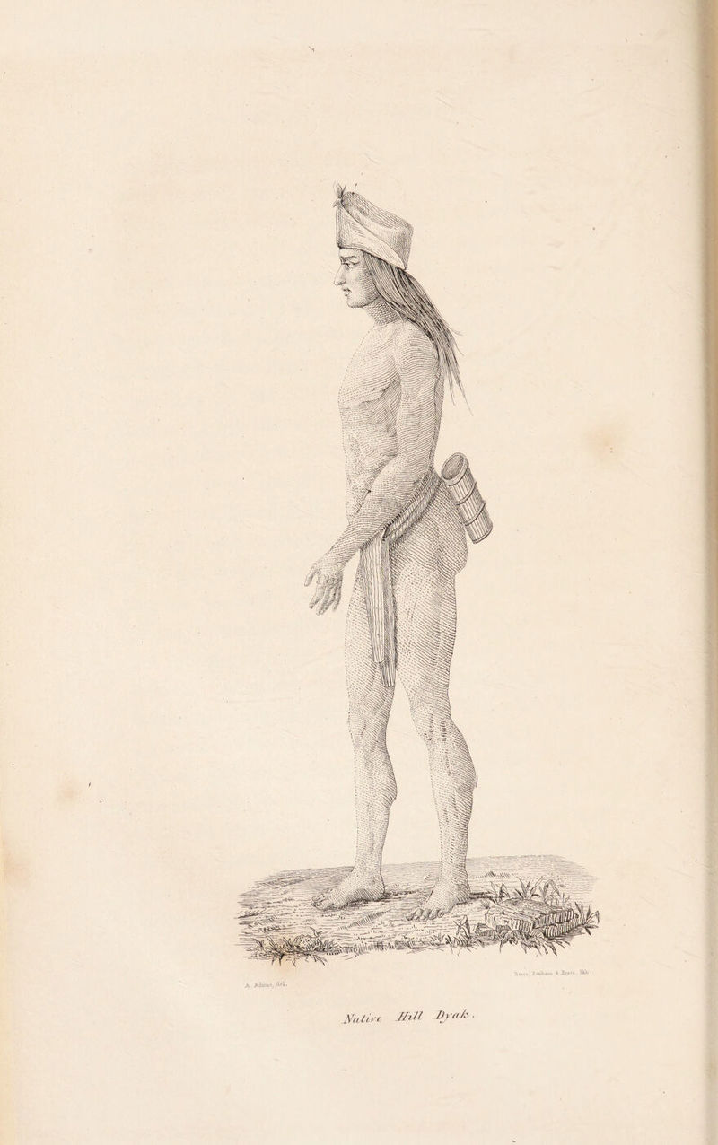 N / ffiZl B/cvk . Native-