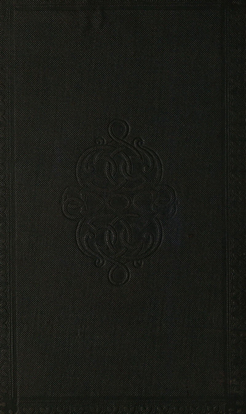 Fora tate “a Ya te tc¥L EY. Dre PODS be oe bots bet MVS 8, U8 re EA > SD . a tete ace 'G ta Sar) Ate Se \ > See eS “Ns > eee VA, Sree! at WOH . 4 Ae . M6 ee ‘ ut < ah eS eA * ae <% ete) . we ee SAS, TeX, un : *. nialaiete le! . ¢ *) 4, 2 + if P eR ee Z - ¥ Sea aie ee ateetercy . », Sega hte Fr weeds ay SS he a Oe ar as i eo ae a < a oy % Sasi Oeics Pernt Pattee = os we > Bee ene Oe ey eu, . aa is ee ee ale Ae obs, en os ” a anh 4 Not as ‘“ oa £« ee Se Seprenten Aten ee, ant ¥ potato bee es 4 . ye Ve Seed eee Tit ¥ aS ee ea * “ys x sy os aS SN ae Resa ee ee % Soe — Rents eh so = KN os, ep ret re ORI ene ta i om 1a ge ei opty Dao psy + see < =e he eS ores é ect let eee ft eae et ot One ate rs tit Md oe td HS orden or ey eat | waits se “iE <A a = as 4 at rey wn eee te “ CeO ee ey oor brat We) we sae Sa) aN et = Re ane | 4 Pee Poree,