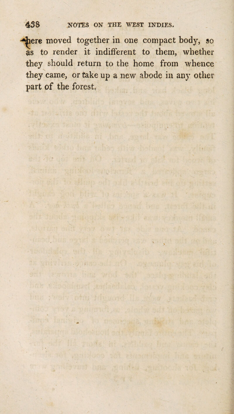 ^ere moved together in one compact body, so as to render it indifferent to them, whether they should return to the home from whence they came, or take up a new abode in any other part of the forest
