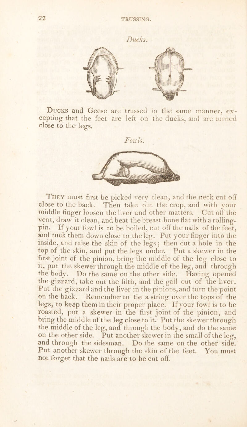 Ducks. Ducks and Geese are trussed in the same manner, ex- cepting that the feet are left on the ducks, and arc turned close to the legs. Fords. They must first be picked very clean, and the neck cut off dose to the back. Then take out the crop, and with your middle finger loosen the liver and other matters. Cut off the vent, draw it clean, and beat the breast-bone fiat with a rolling- pin. If your fowl is to be boiled, cut off the nails of the feet, and tuck them down close to the leg. Put your finger into the inside, and raise the skin of the legs; then cut a hole in the top of the skin, and put the legs under. Put a skewer in the first joint of the pinion, bring the middle of the leg close to it, put the skewer through the middle of the leg, and through the body. Do the same on the other side. Having opened the gizzard, take out the filth, and the gall out of the liver. Put the gizzard and the liver in the pinions, and turn the point on the back. Remember to tie a string over the tops of the legs, to keep them in their proper place. If your fowl is to be roasted, put a skewer in the first joint of the pinion, and bring the middle of the leg close to it. Put the skewer through the middle of the leg, and through the body, and do the same on the other side. Put another skewer in the small of the leg, and through the sidesman. Do the same on the other side. Put another skewer through the skin of the feet. You must not forget that the nails are to be cut off.