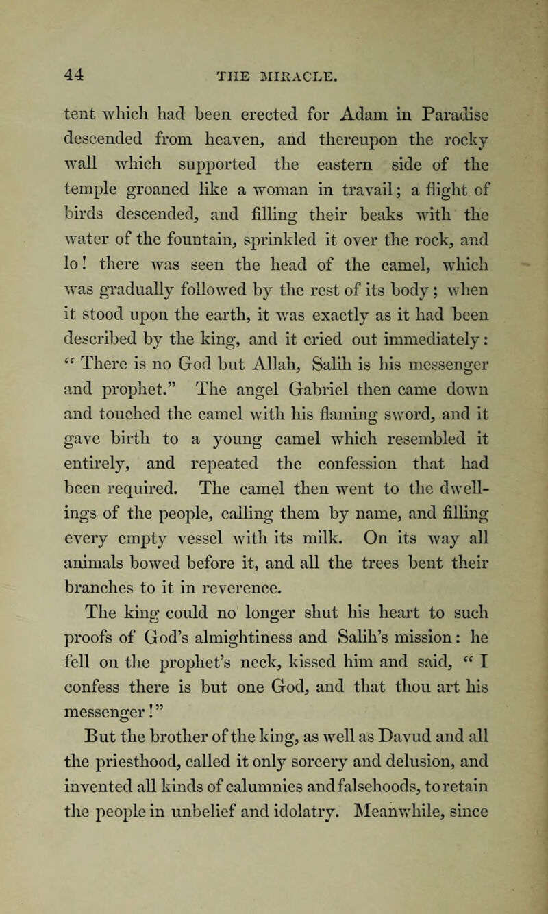 tent which, had been erected for Adam in Paradise descended from heaven, and thereupon the rocky wall which supported the eastern side of the temple groaned like a woman in travail; a flight of birds descended, and filling their beaks with the water of the fountain, sprinkled it over the rock, and lo! there was seen the head of the camel, which was gradually followed by the rest of its body ; when it stood upon the earth, it was exactly as it had been described by the king, and it cried out immediately: “ There is no God but Allah, Salih is his messenger and prophet.” The angel Gabriel then came down and touched the camel with his flaming sword, and it gave birth to a young camel which resembled it entirely, and repeated the confession that had been required. The camel then went to the dwell¬ ings of the people, calling them by name, and filling every empty vessel with its milk. On its way all animals bowed before it, and all the trees bent their branches to it in reverence. The king could no longer shut his heart to such proofs of God’s almightiness and Salih’s mission: he fell on the prophet’s neck, kissed him and said, “ I confess there is but one God, and that thou art his messenger! ” But the brother of the king, as well as Davud and all the priesthood, called it only sorcery and delusion, and invented all kinds of calumnies and falsehoods, to retain the people in unbelief and idolatry. Meanwhile, since